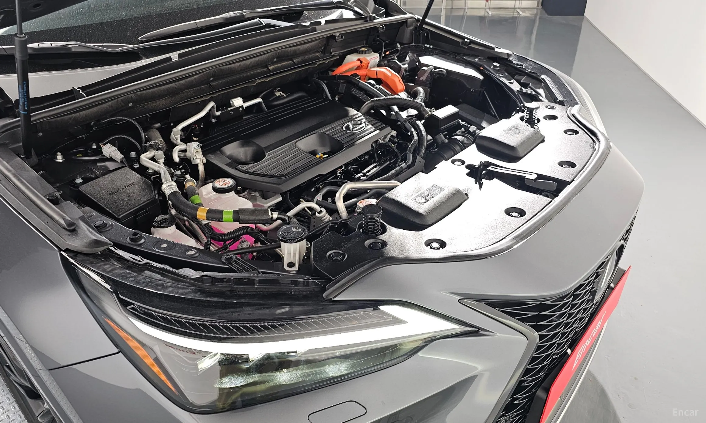 Lexus NX450h + 2nd Gen превью 6
