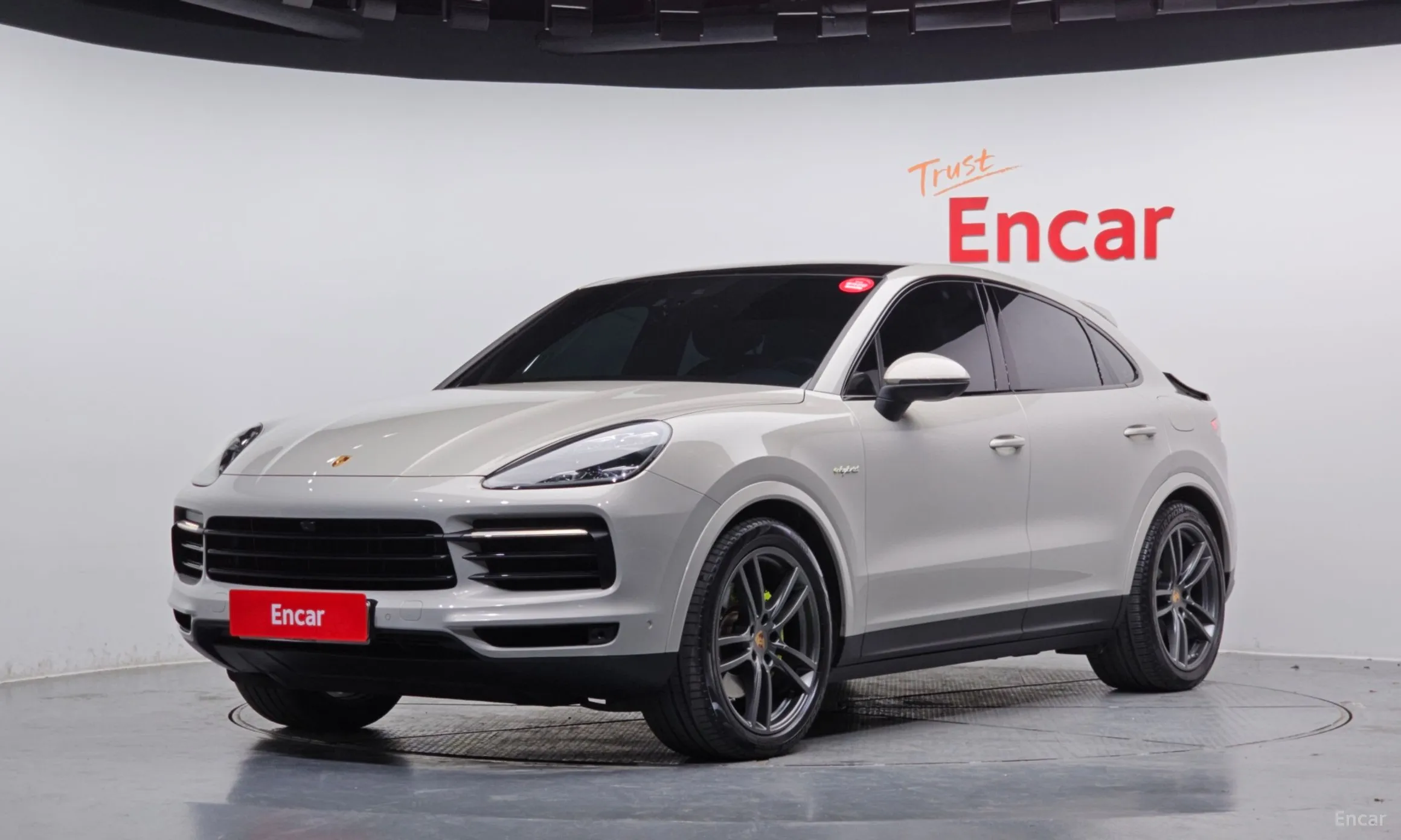 Cayenne (PO536)
