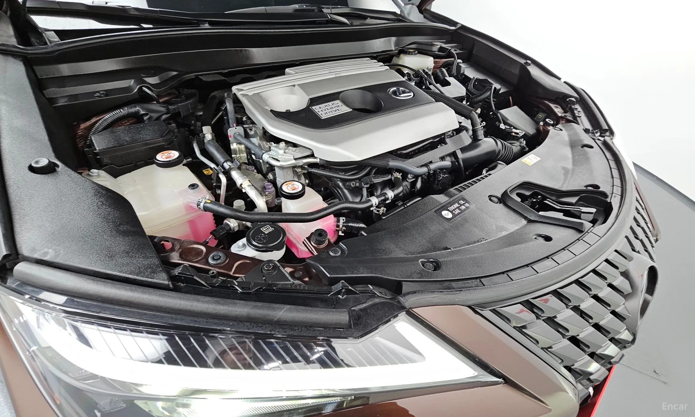 Lexus UX250h превью 6