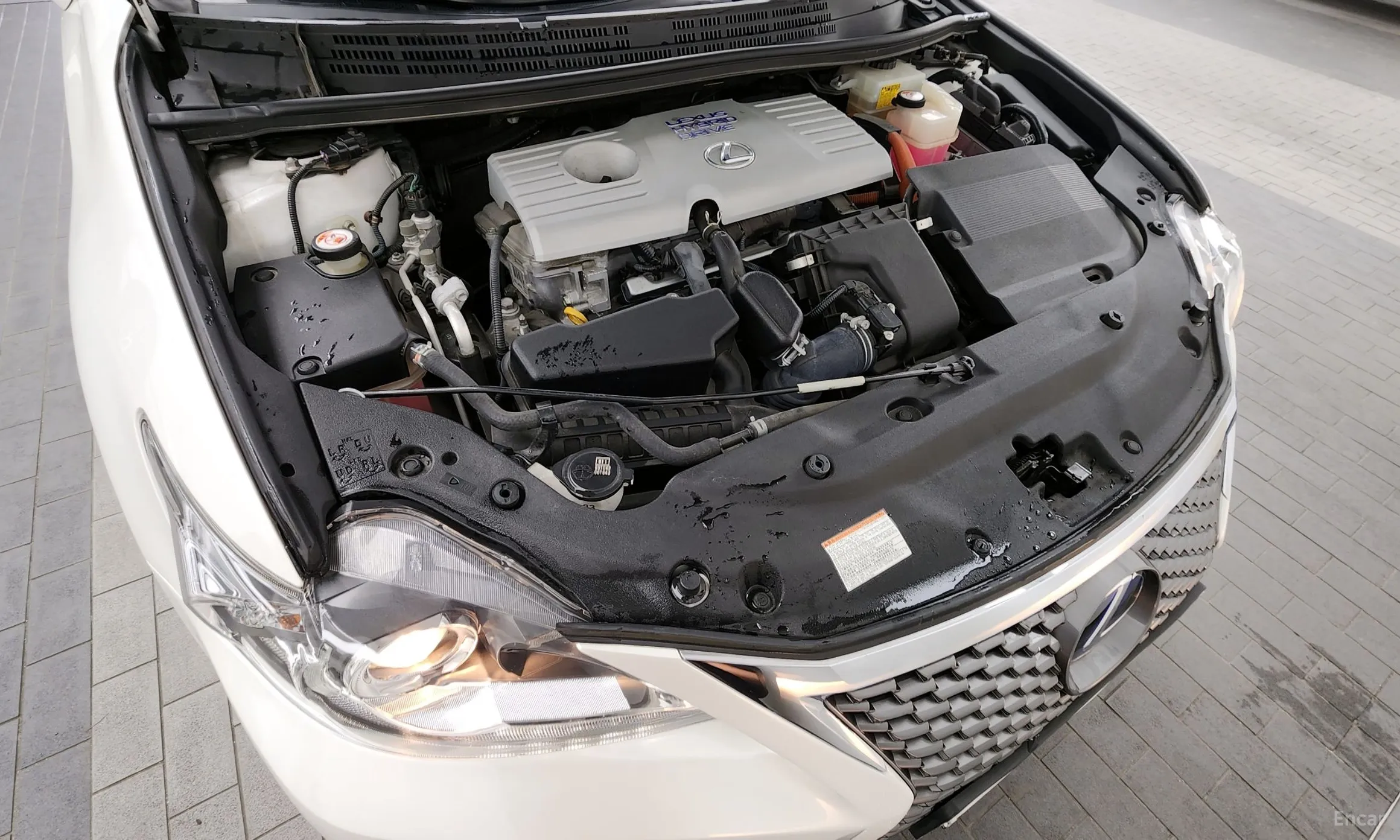 Lexus CT200h превью 6