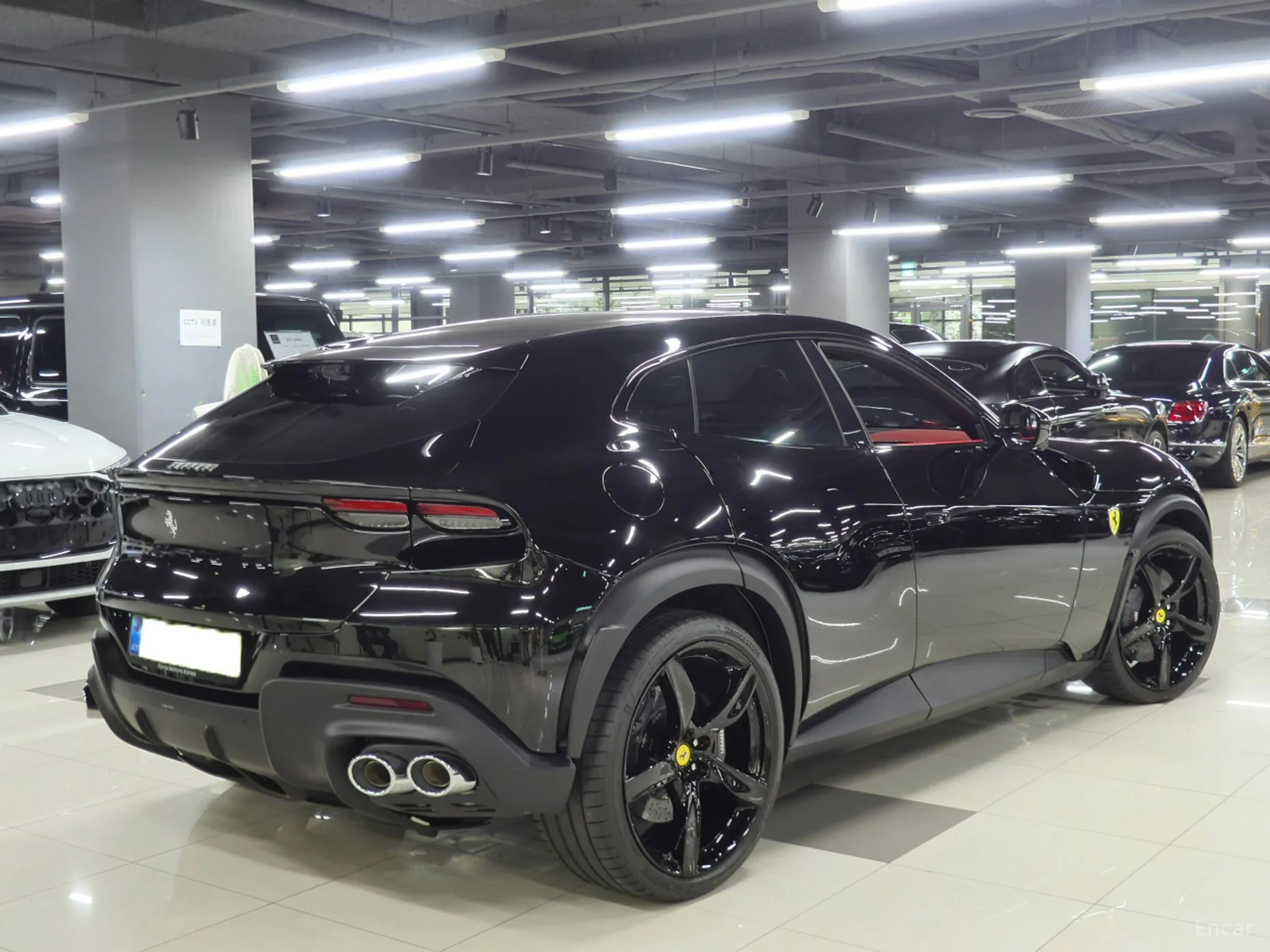 Ferrari Puro Sange превью 3