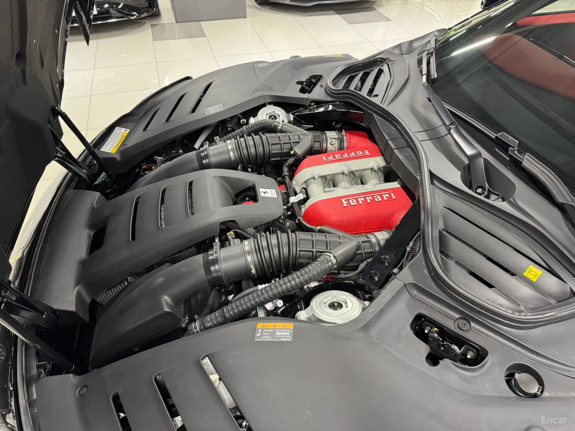 Ferrari Puro Sange превью 5