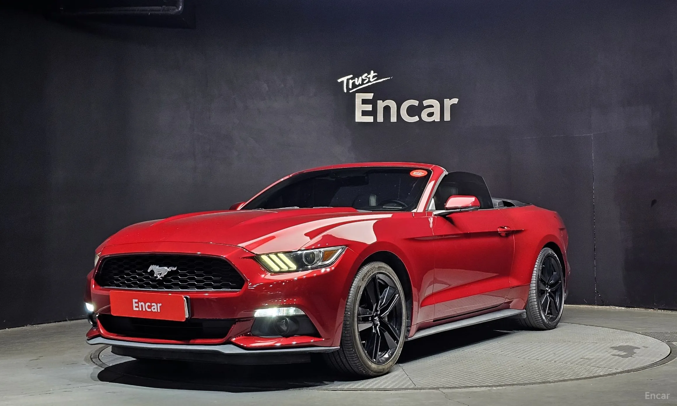 Mustang