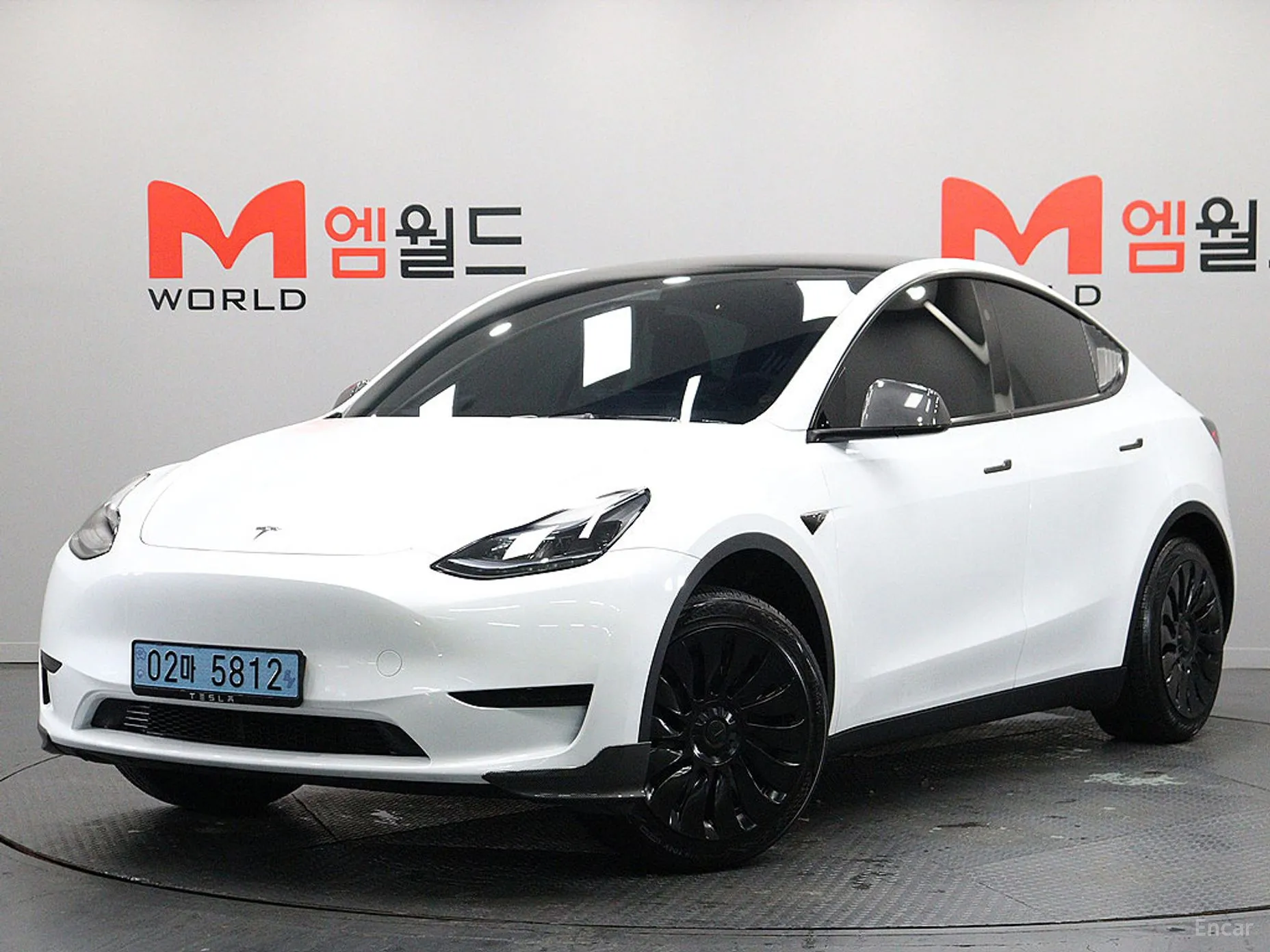 Model Y