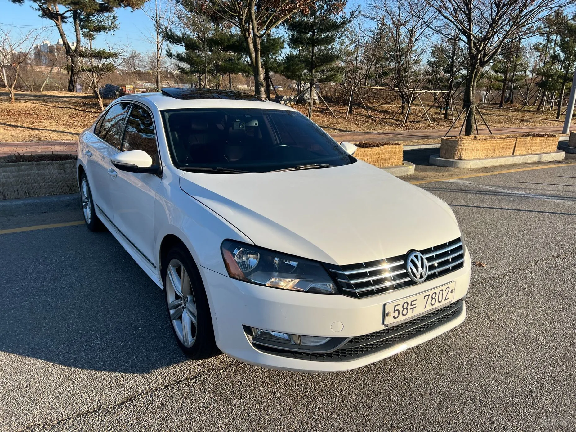 The New Passat