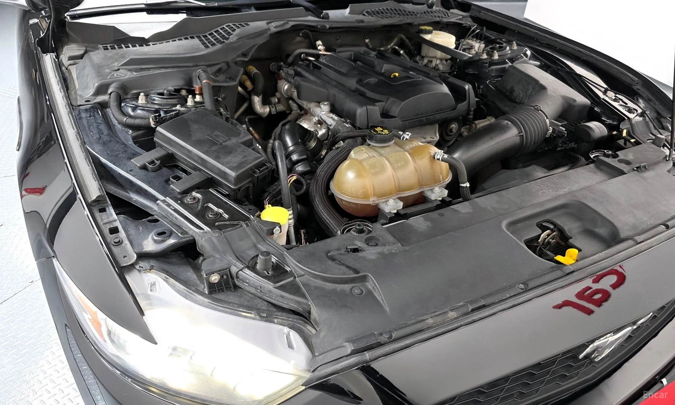 Ford Mustang превью 6