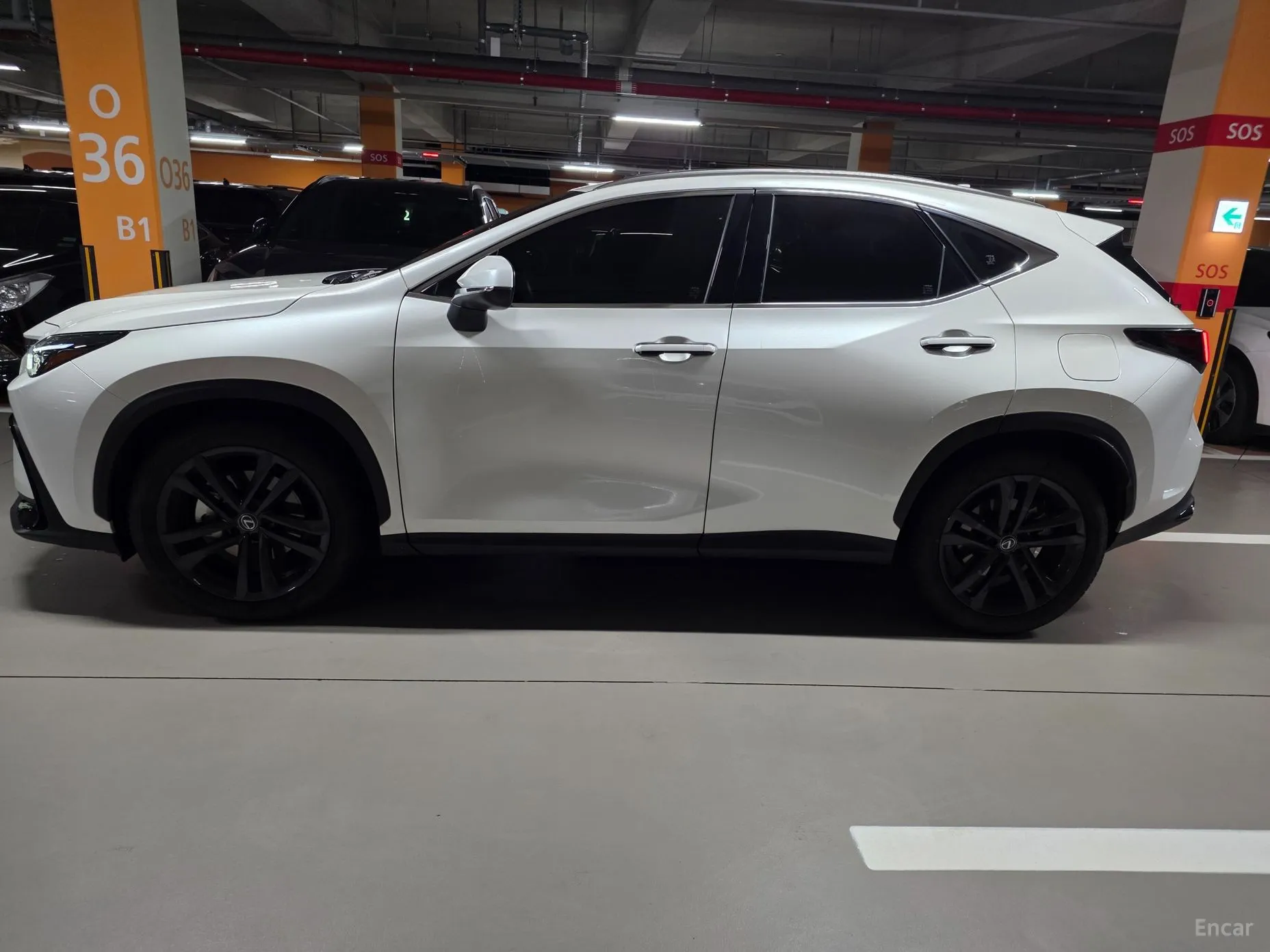 Lexus NX350h Gen 2 превью 14