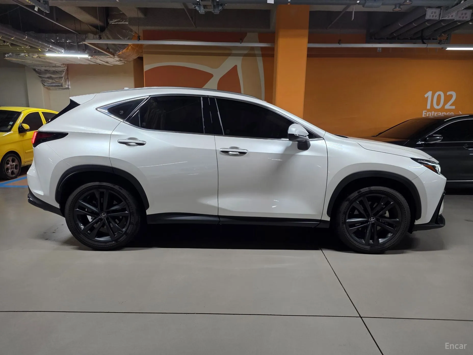 Lexus NX350h Gen 2 превью 6
