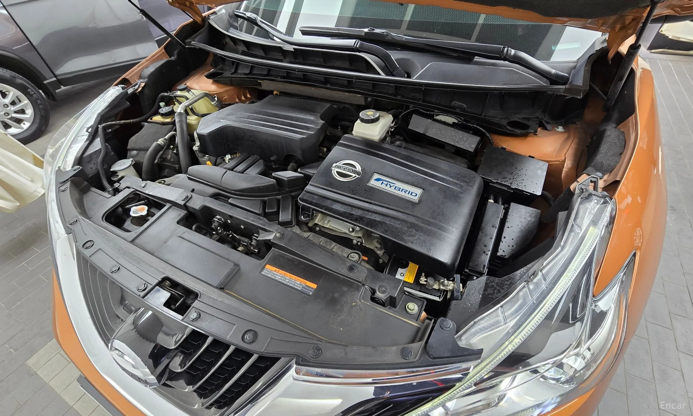 Nissan Murano (Z52) превью 6