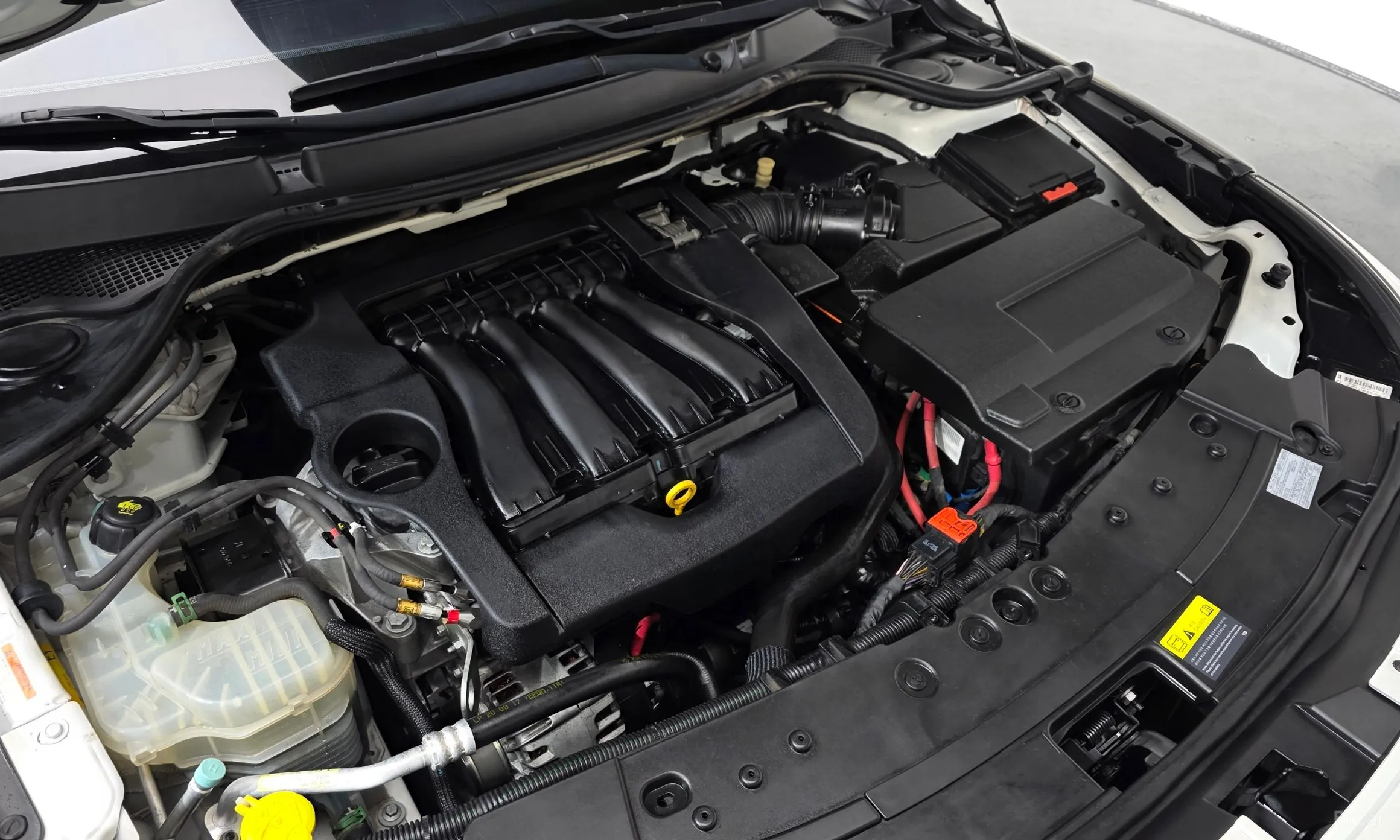 Renault Korea (Samsung) SM7 превью 6
