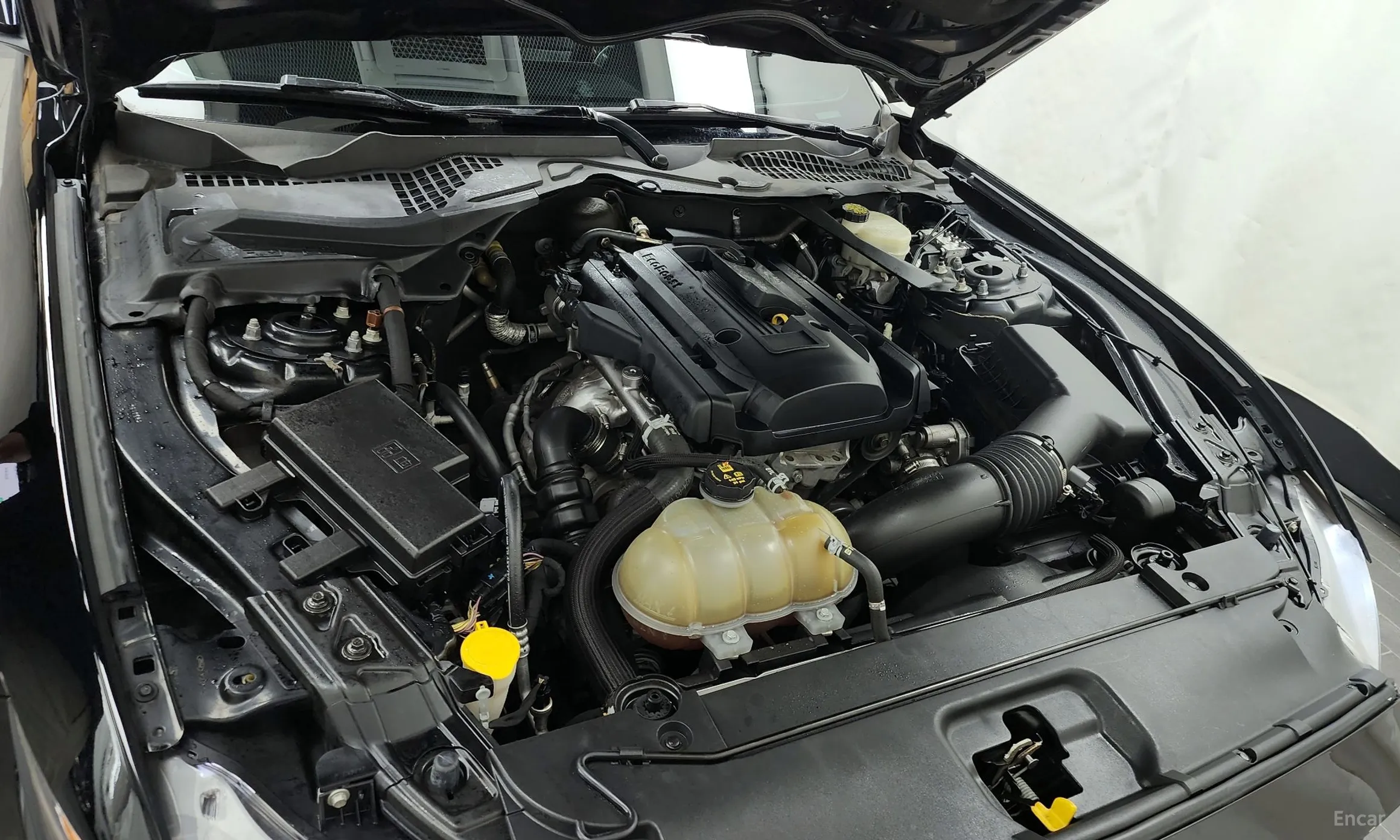 Ford Mustang превью 6