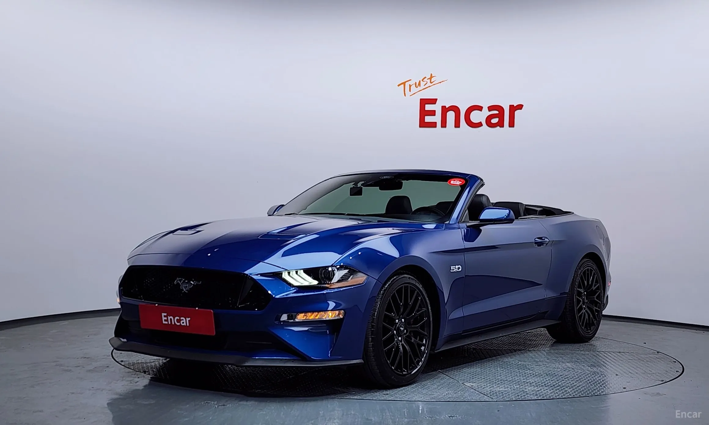 Mustang