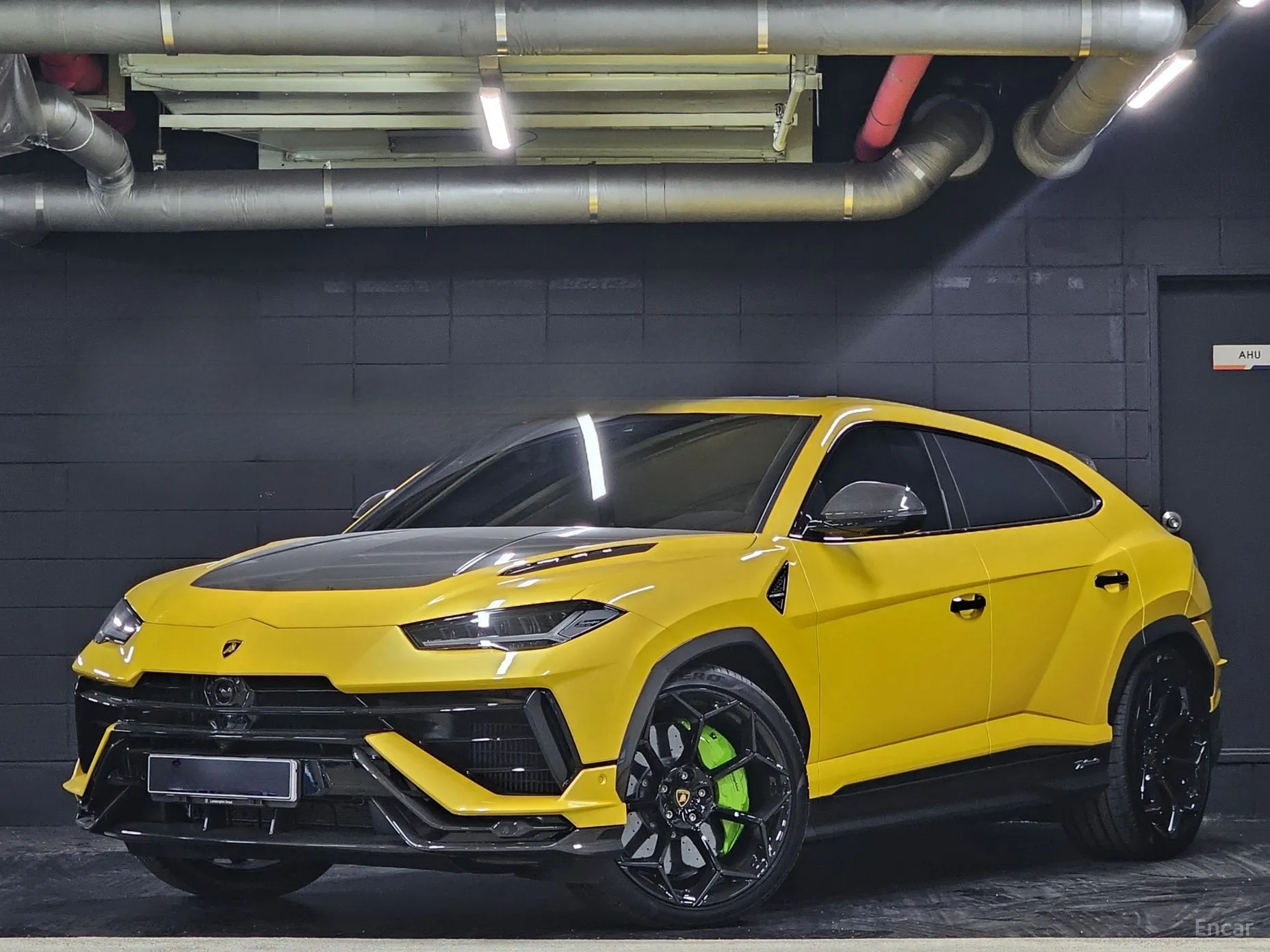 Urus