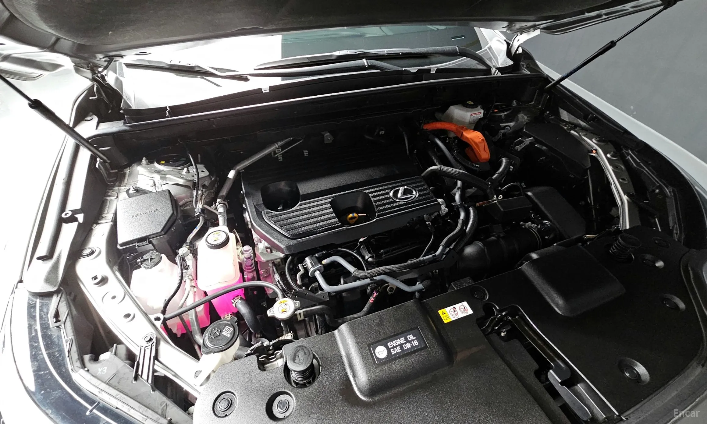 Lexus NX350h Gen 2 превью 6