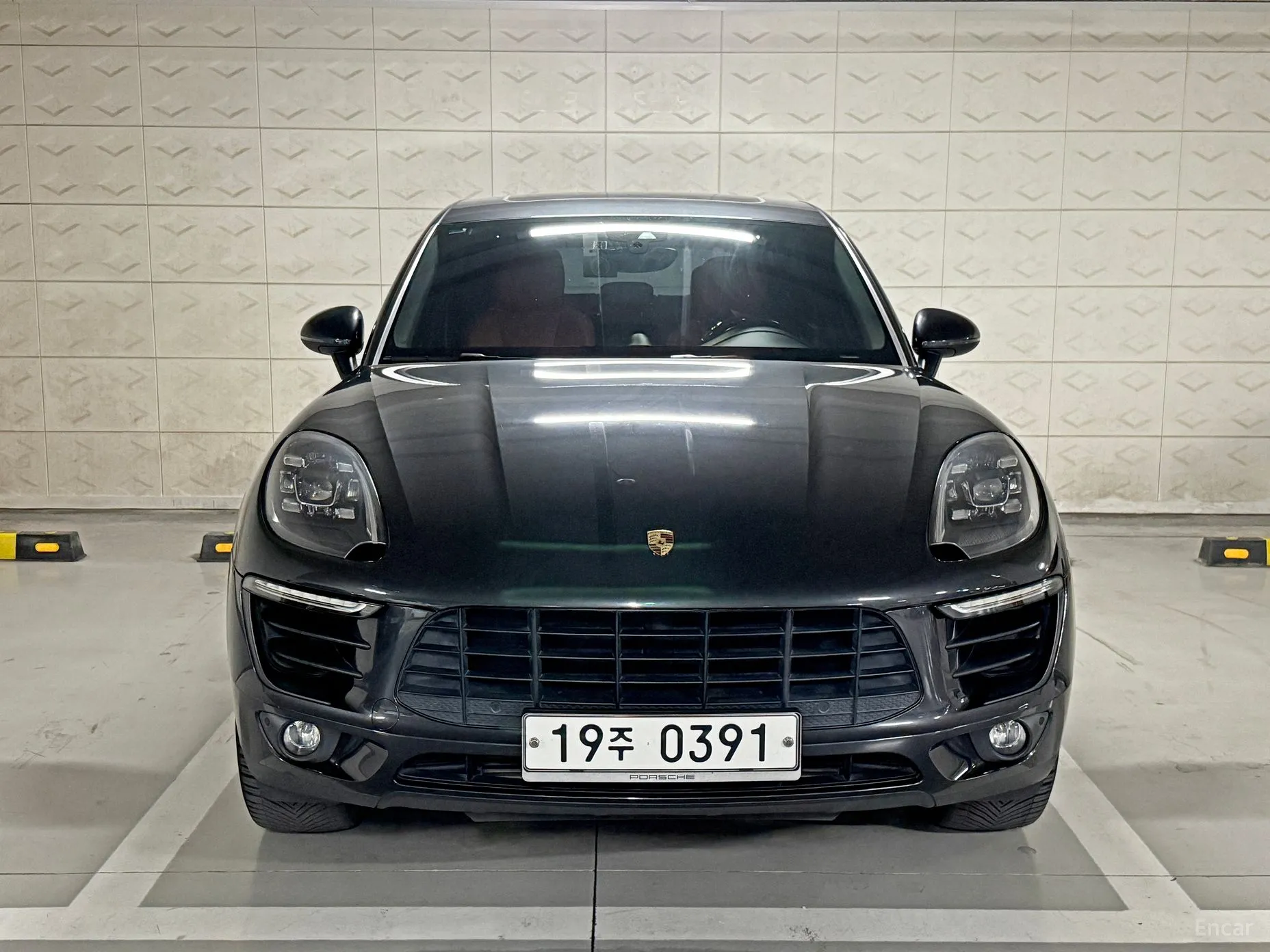 Macan