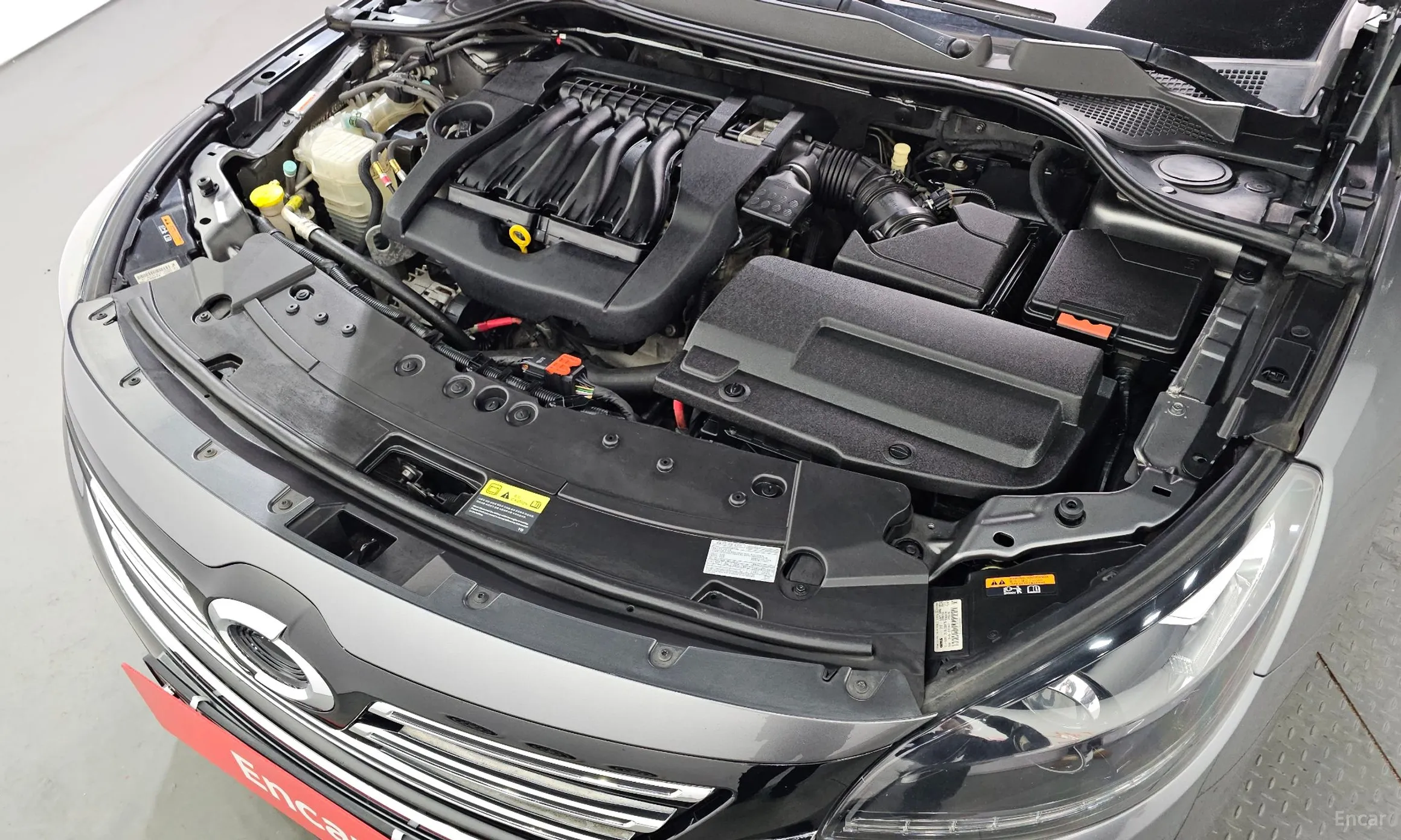 Renault Korea (Samsung) SM7 превью 6