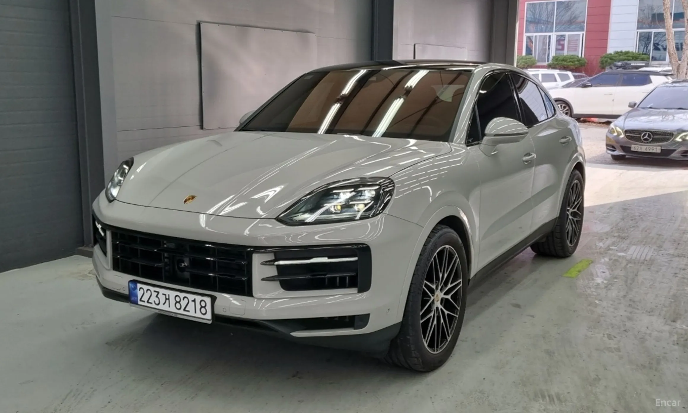 Cayenne (PO536)
