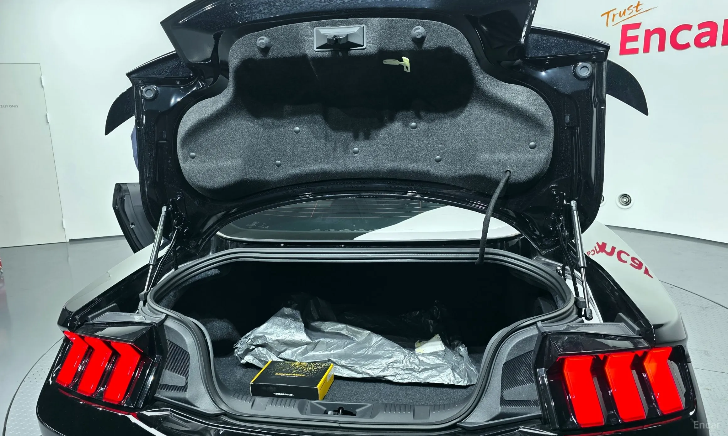 Ford Mustang 7th Generation превью 20