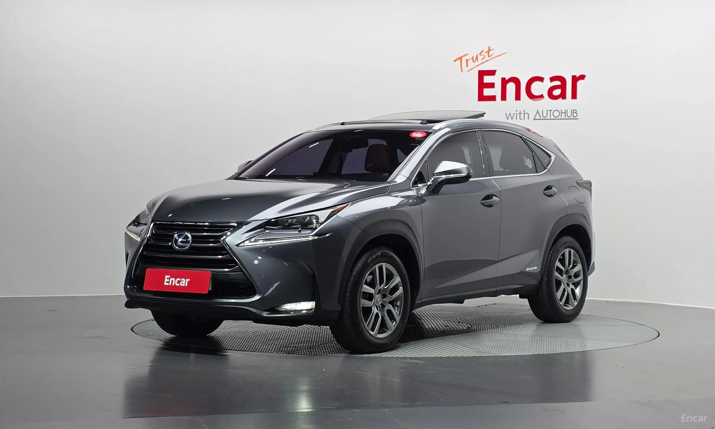 Lexus NX300h