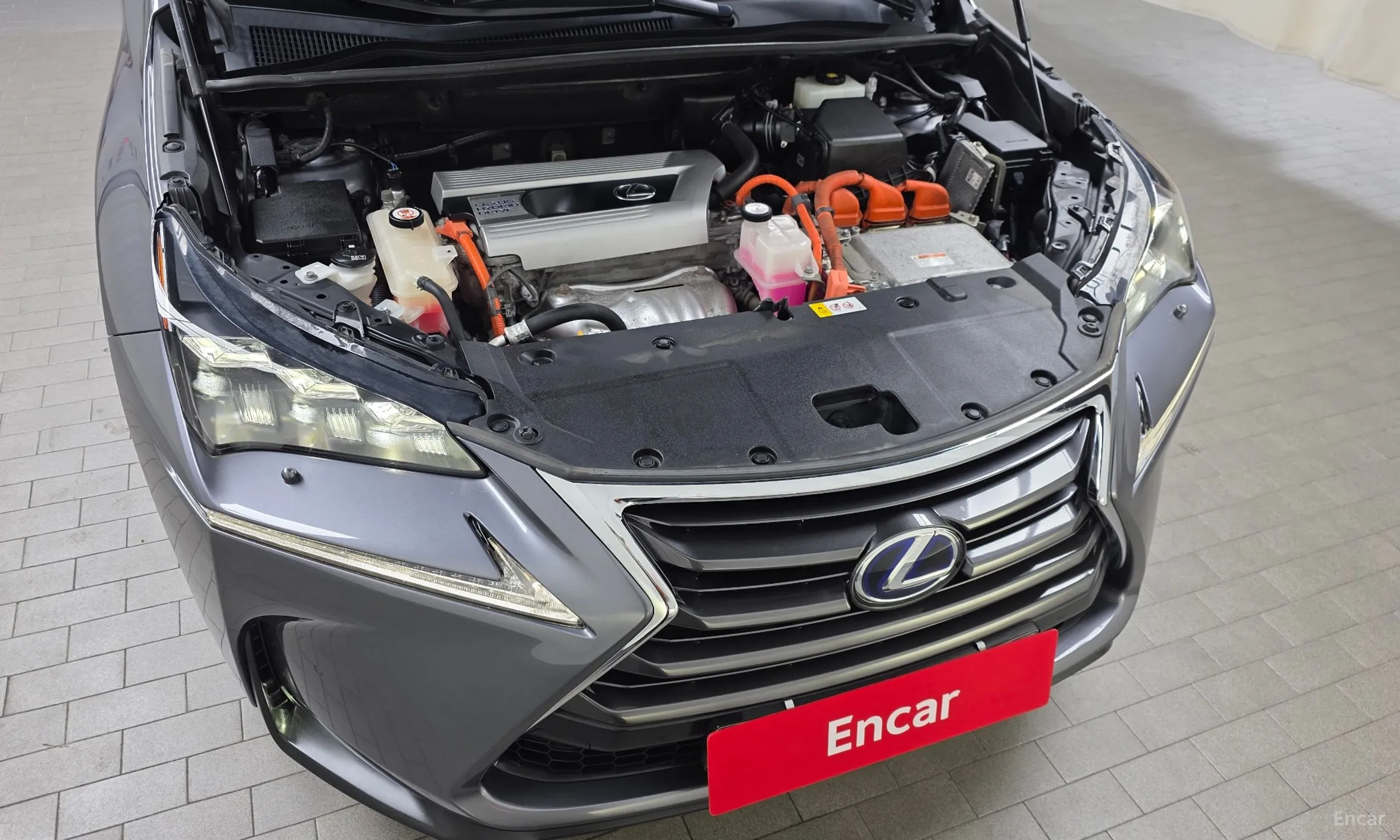 Lexus NX300h превью 6