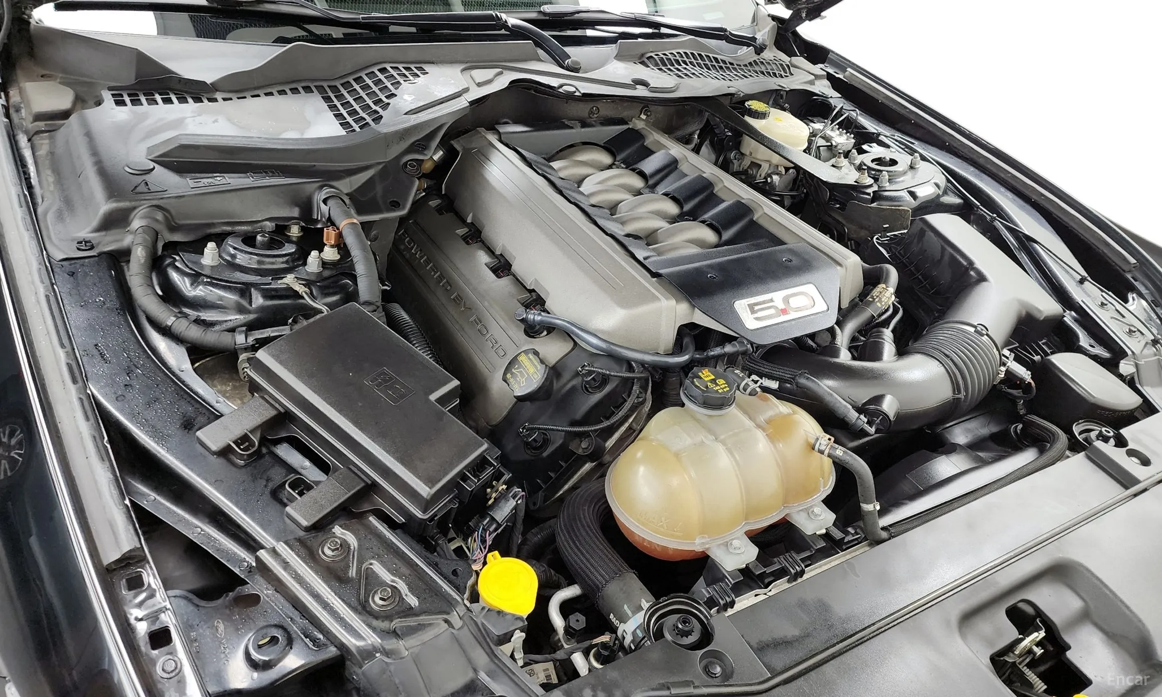 Ford Mustang превью 6
