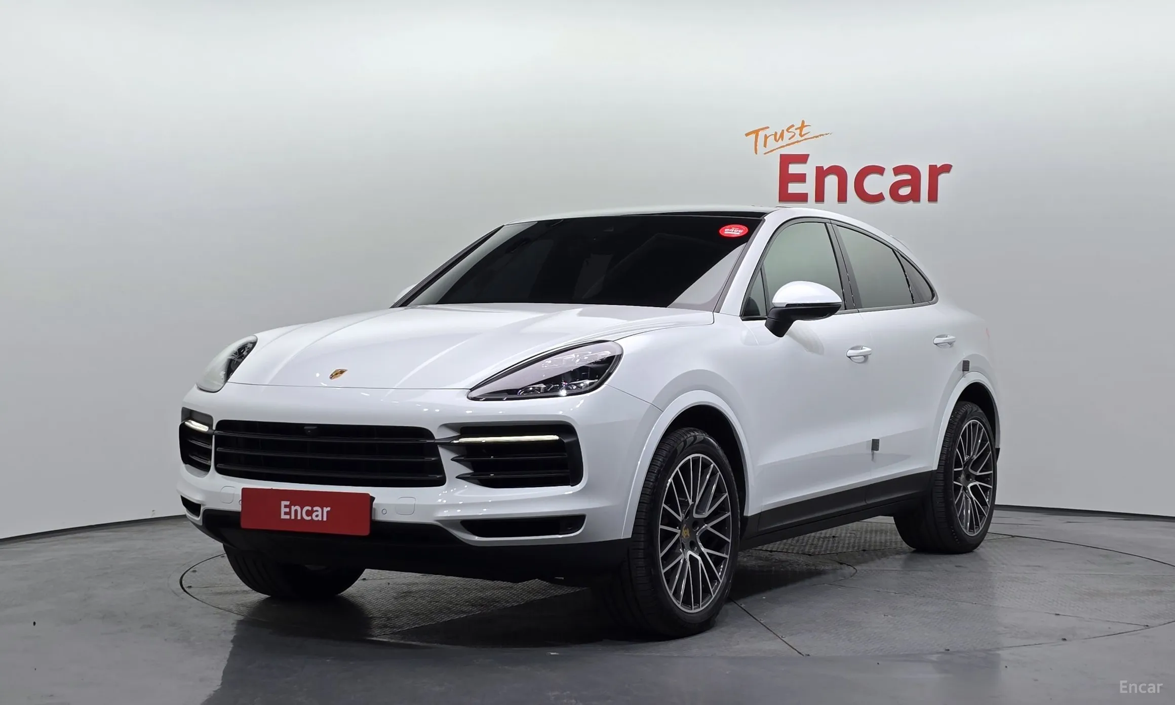 Cayenne (PO536)