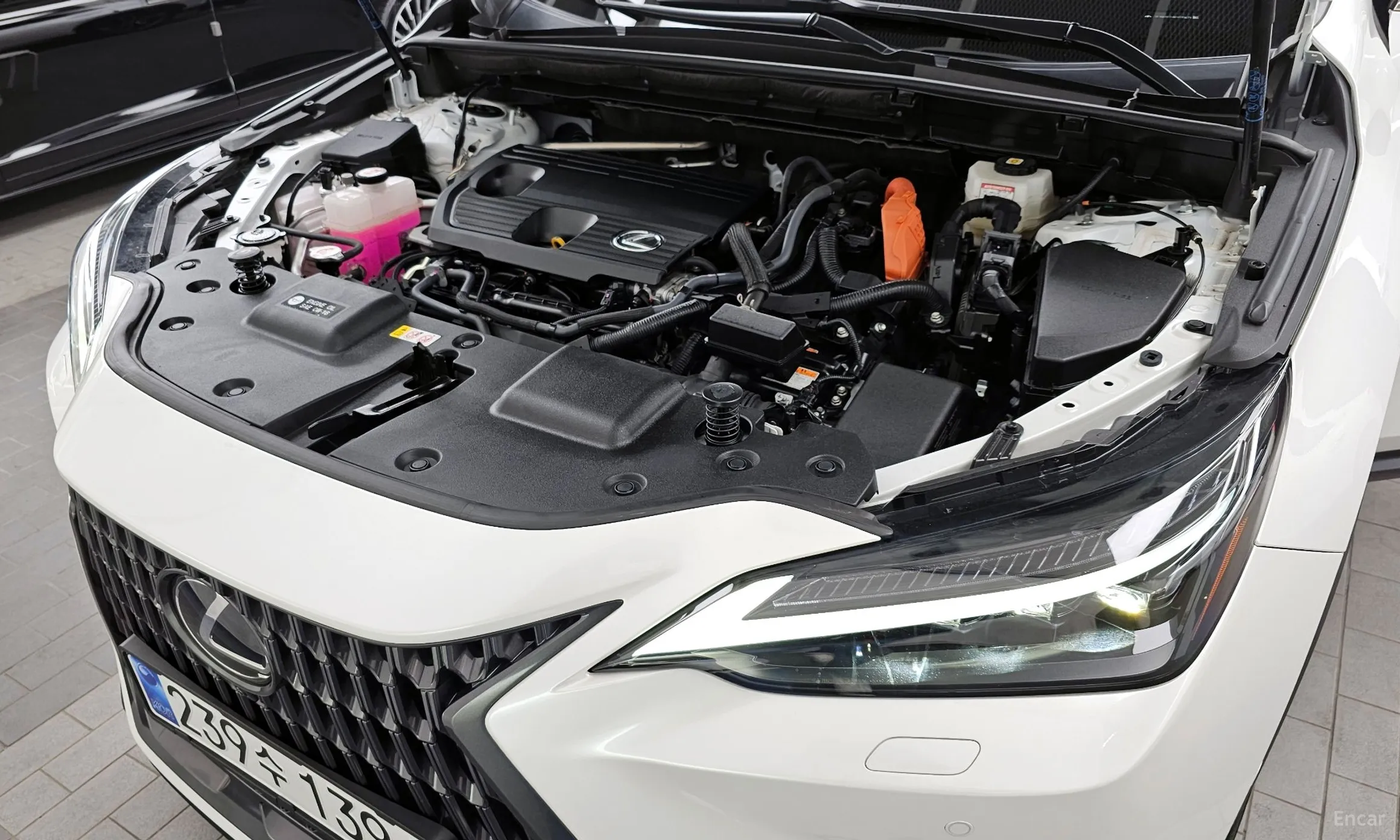 Lexus NX350h Gen 2 превью 6