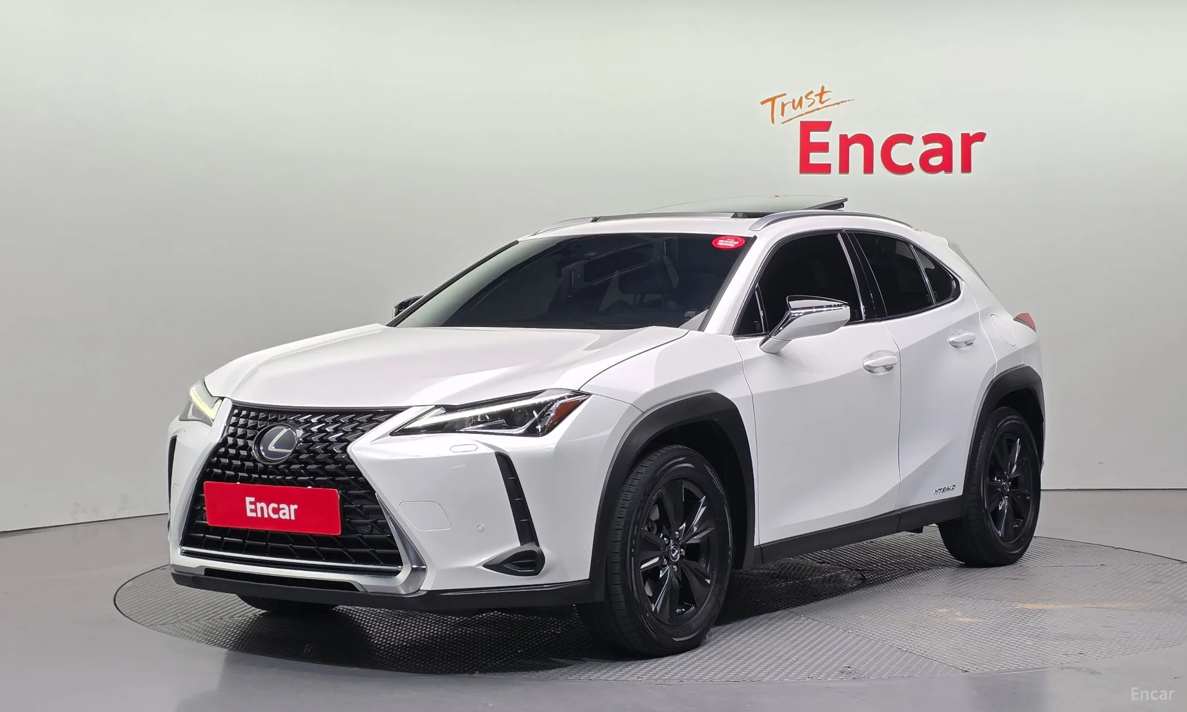 Lexus UX250h