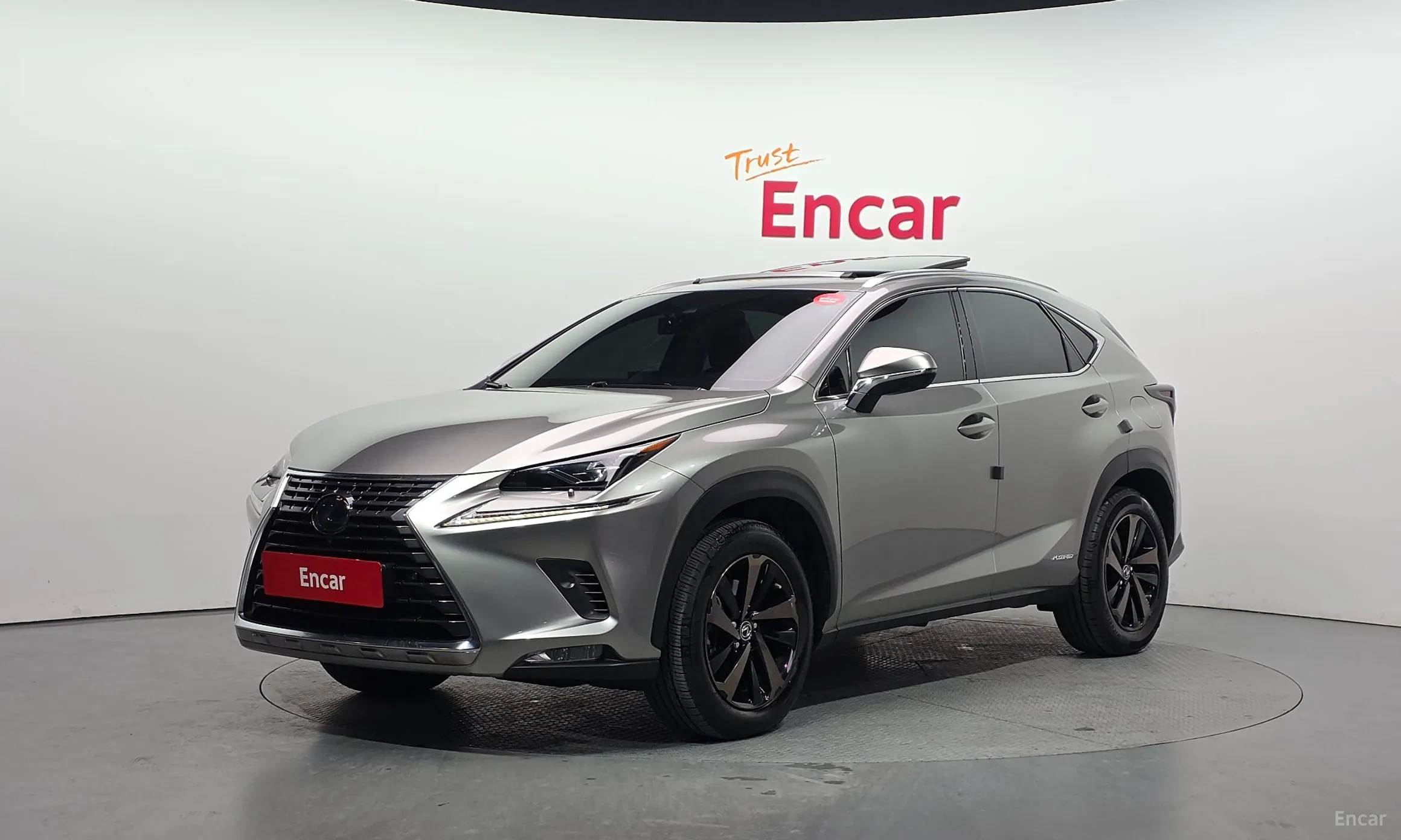 Lexus NX300h