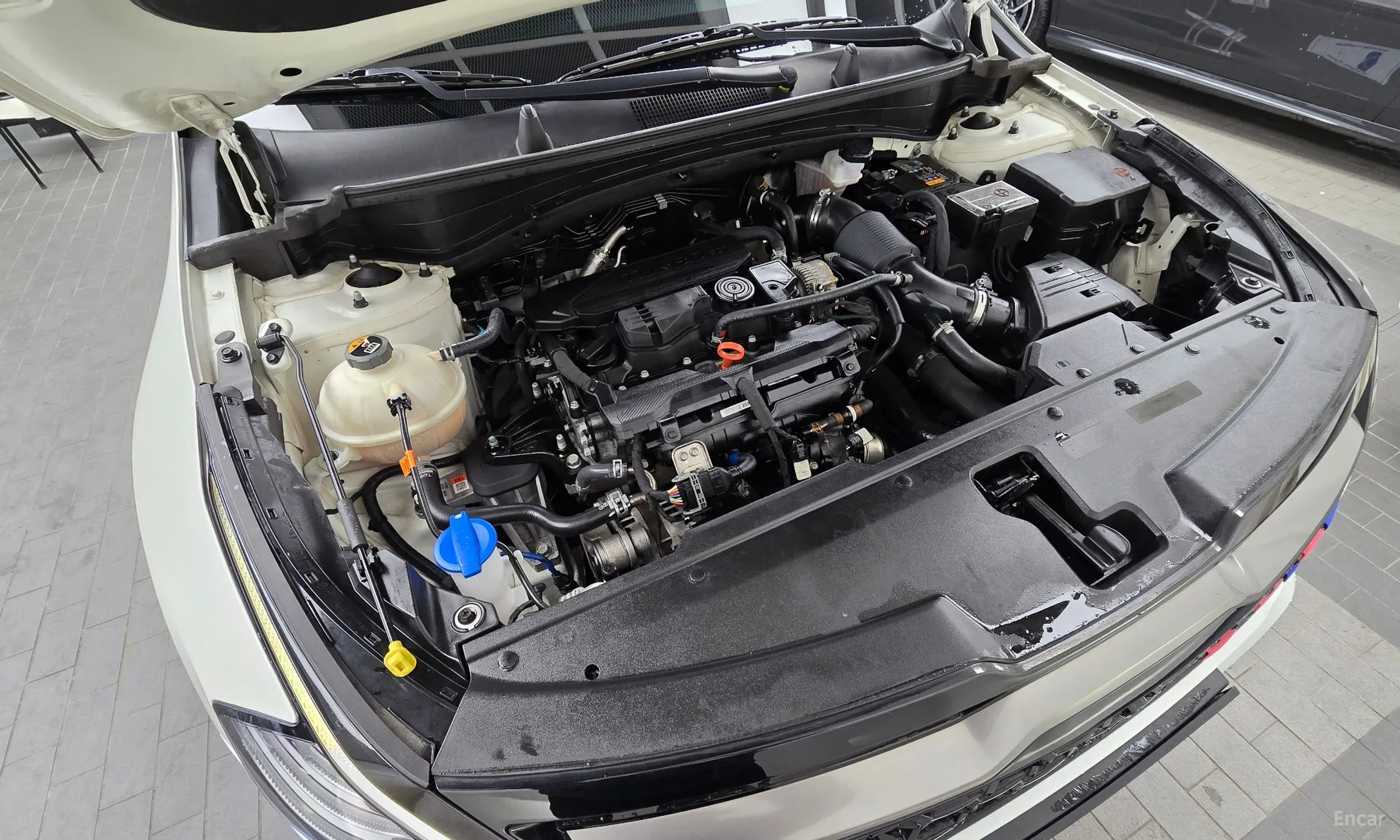 Kia Sportage 5th Generation превью 6