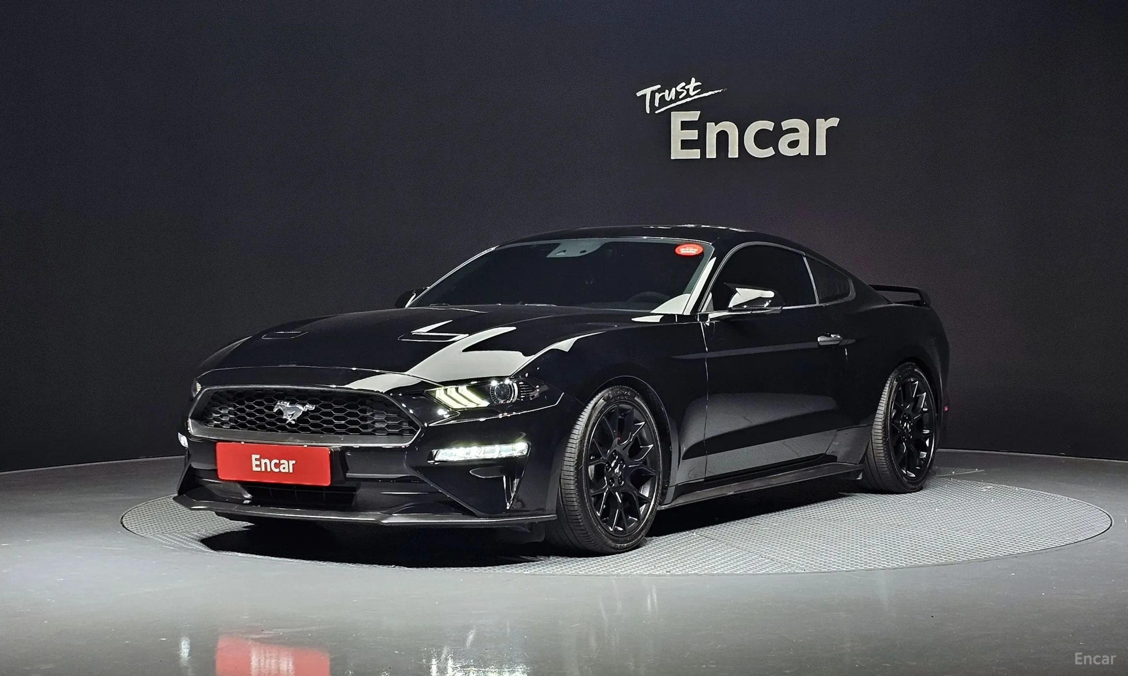 Mustang