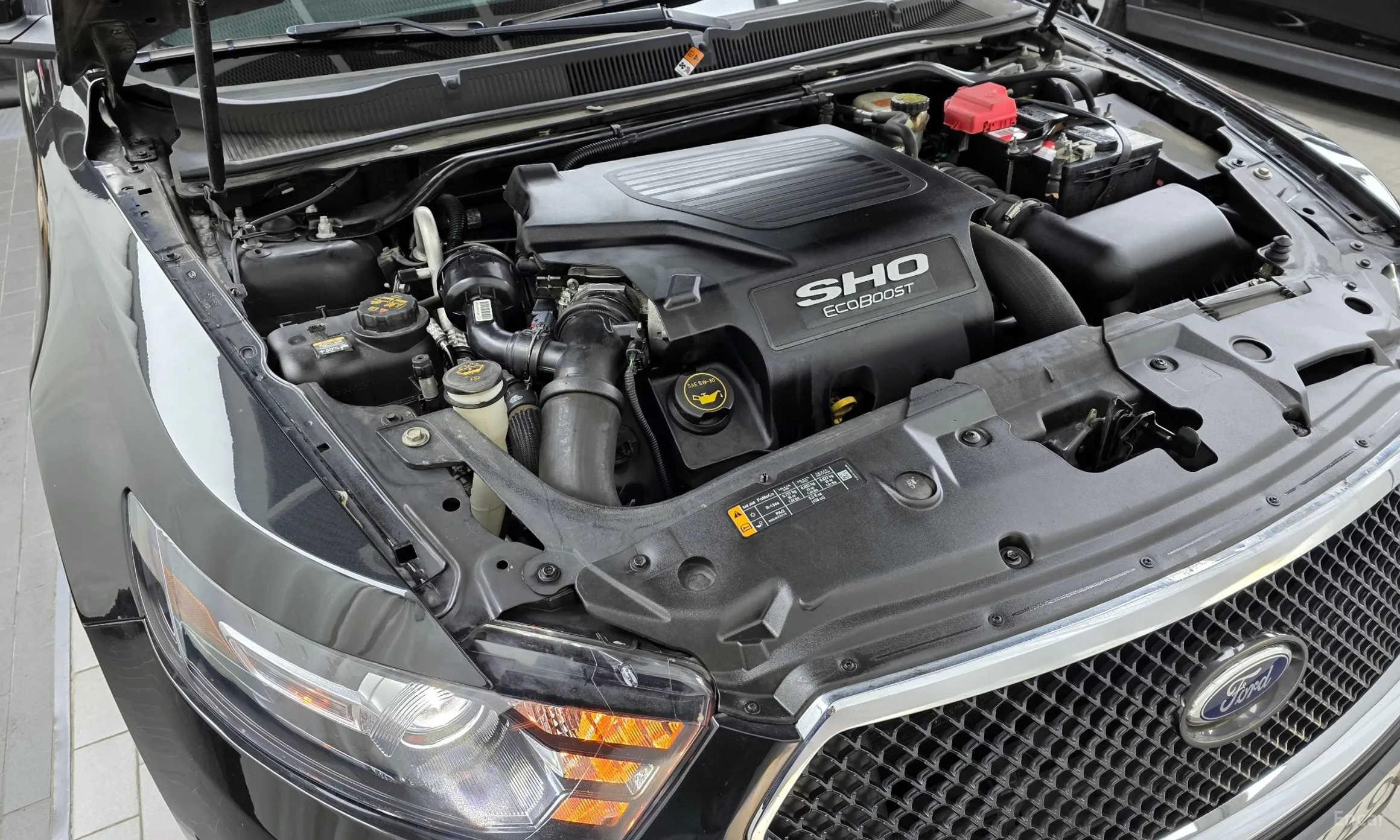 Ford New Torus превью 6