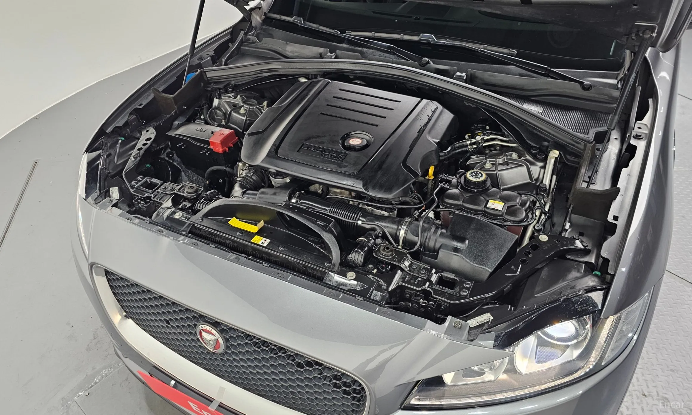Jaguar F-PACE превью 6