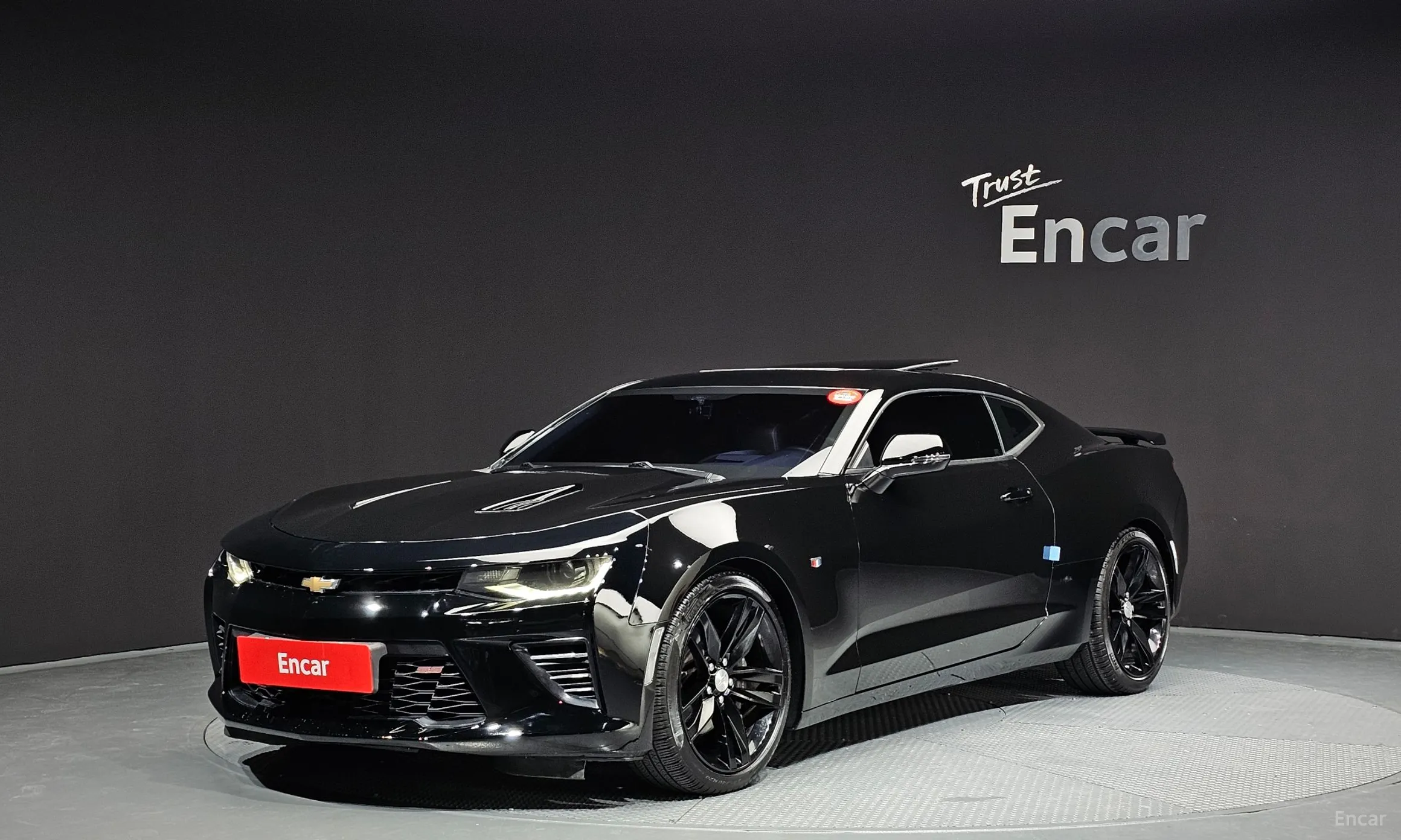 Chevrolet (GM Daewoo) Camaro
