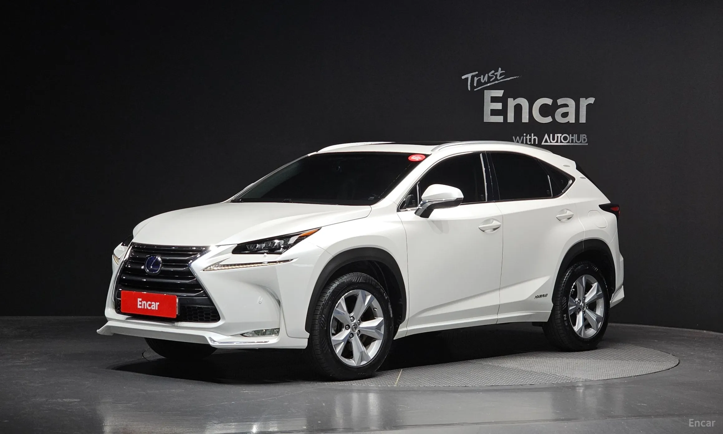 Lexus NX300h