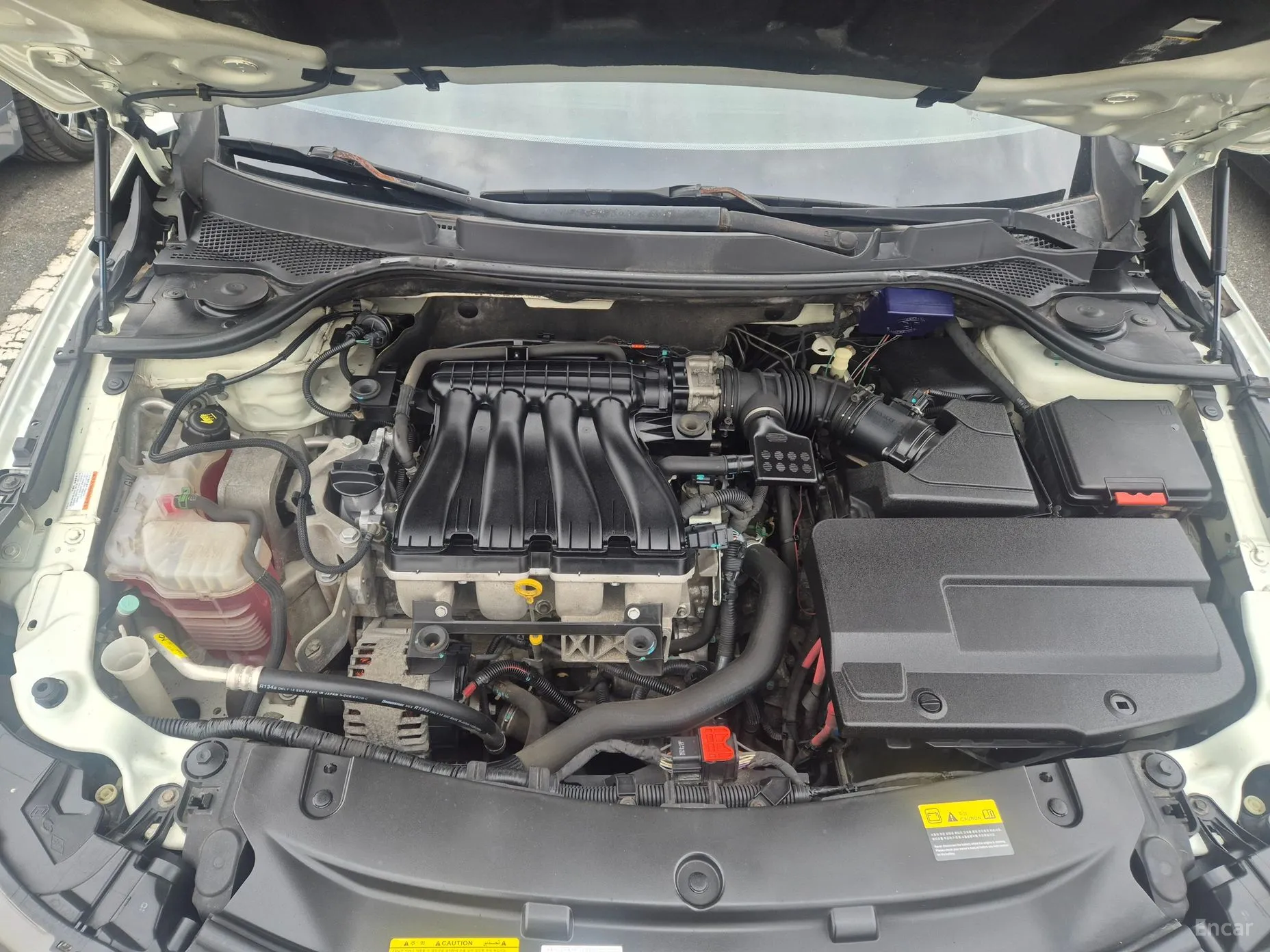 Renault Korea (Samsung) SM5 превью 6