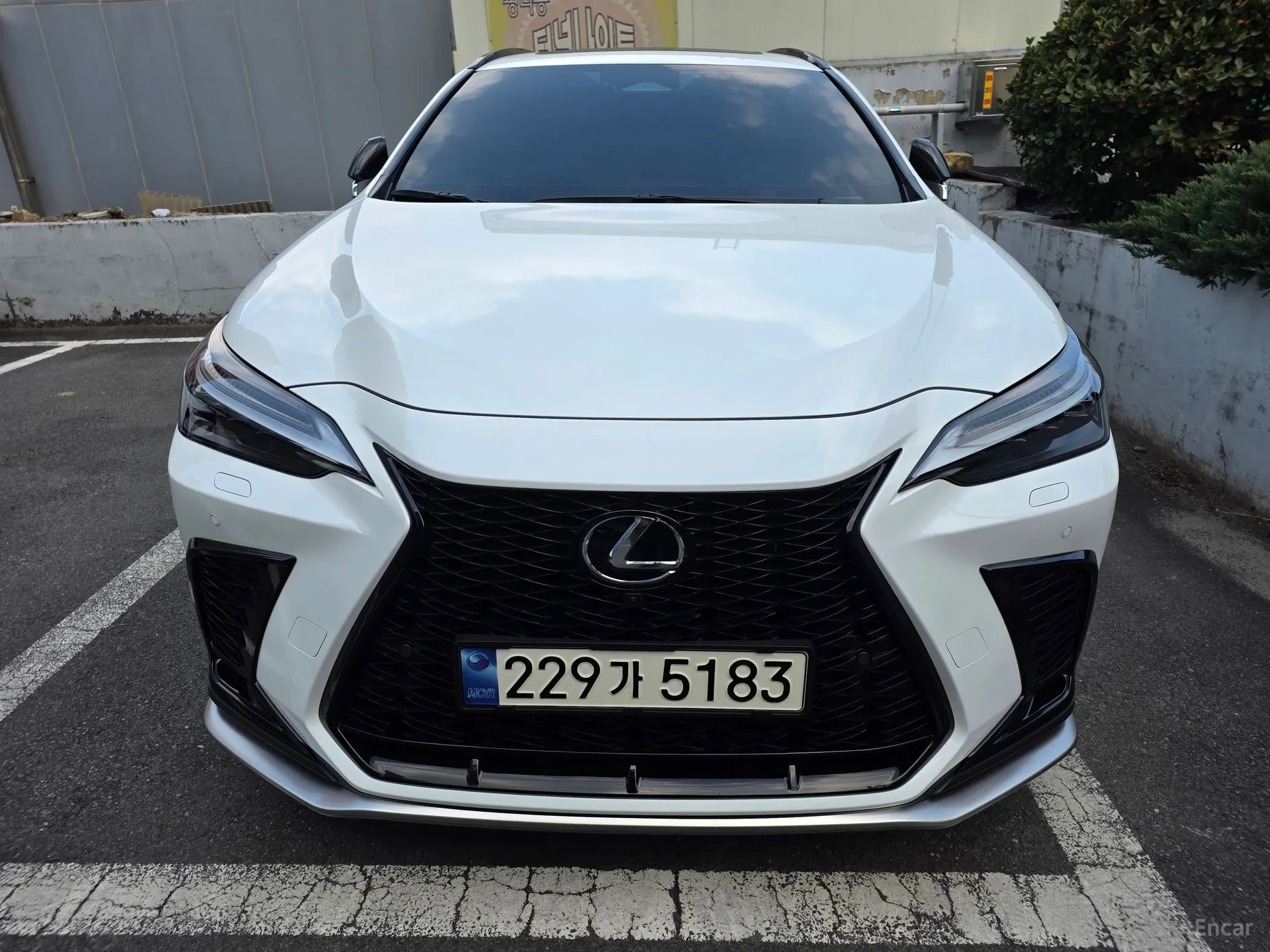 Lexus NX450h + 2nd Gen превью 3