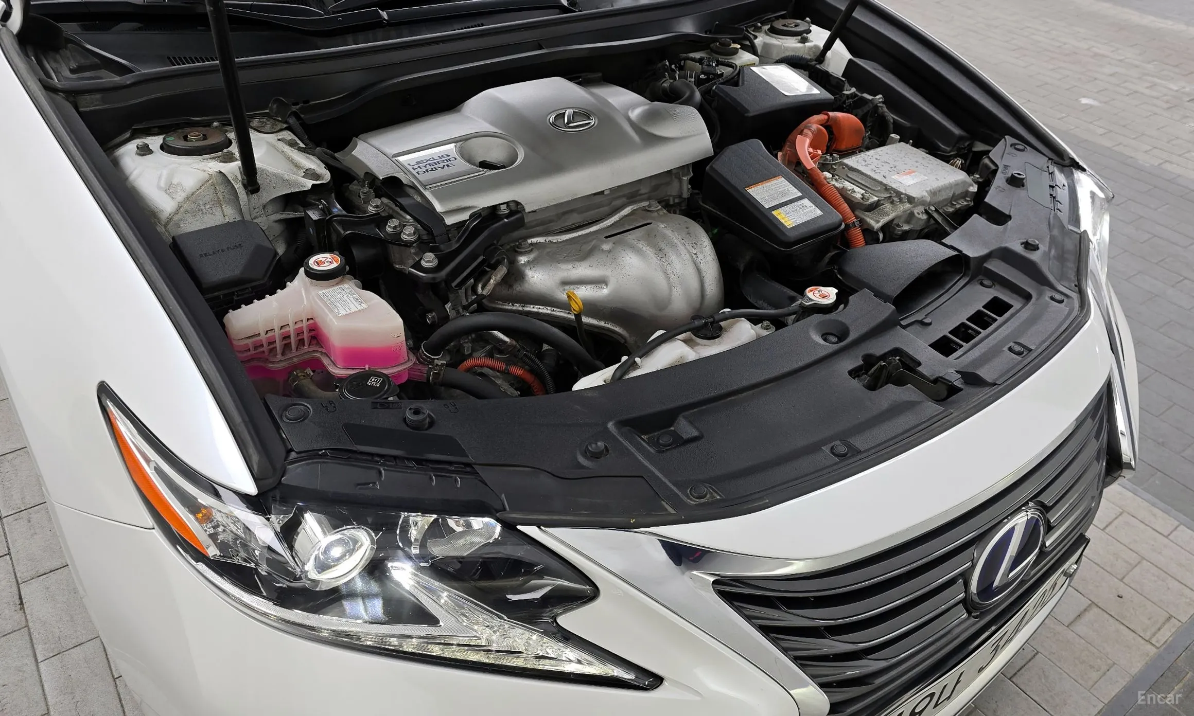 Lexus New ES300h превью 6