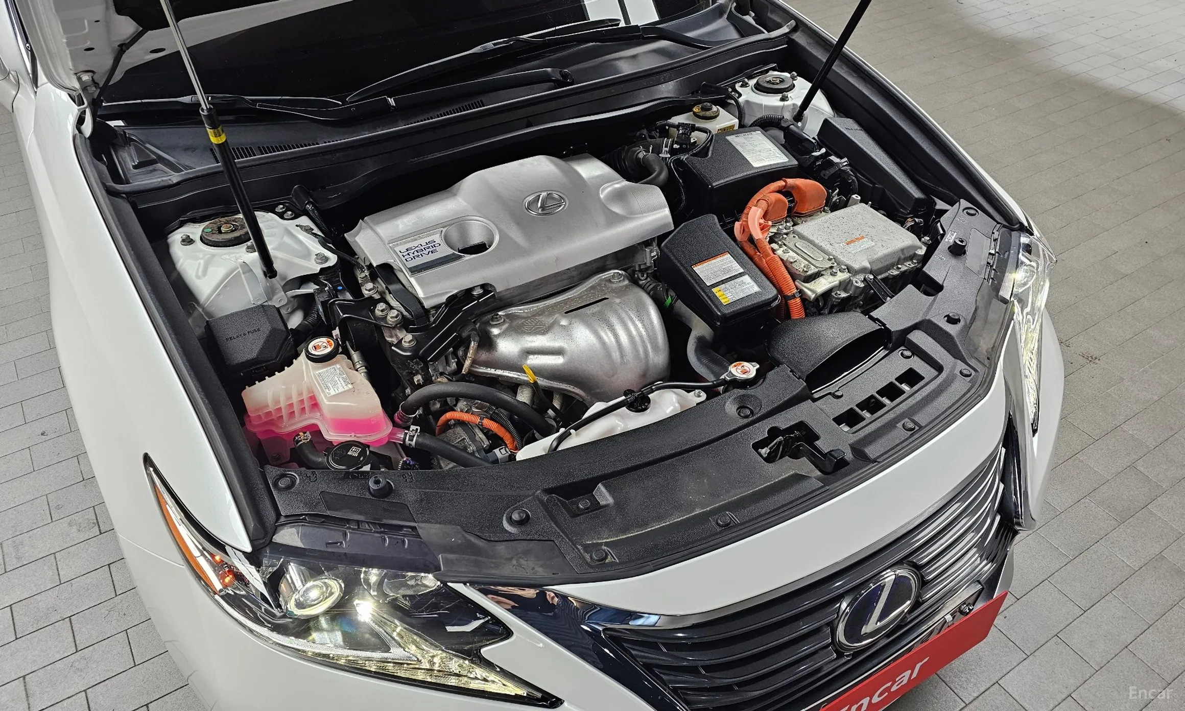 Lexus New ES300h превью 6
