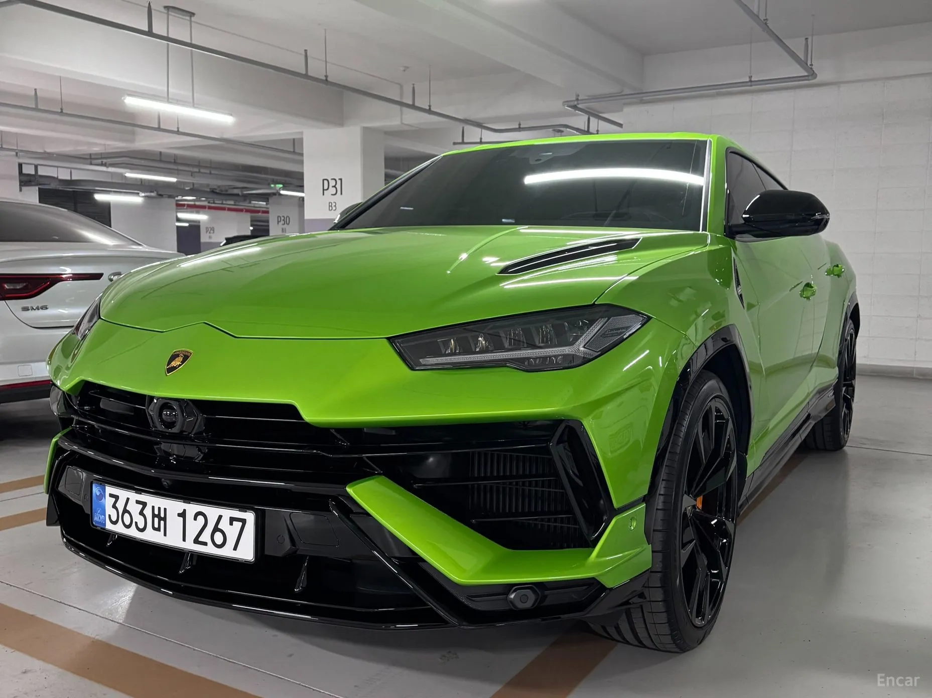 Urus