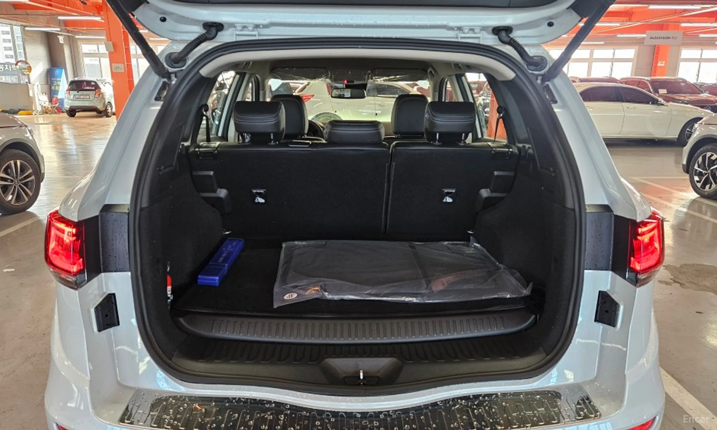 Renault Korea (Samsung) QM6 превью 5