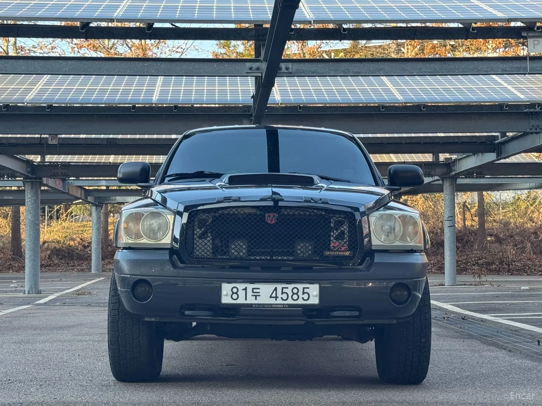 Dodge Dakota