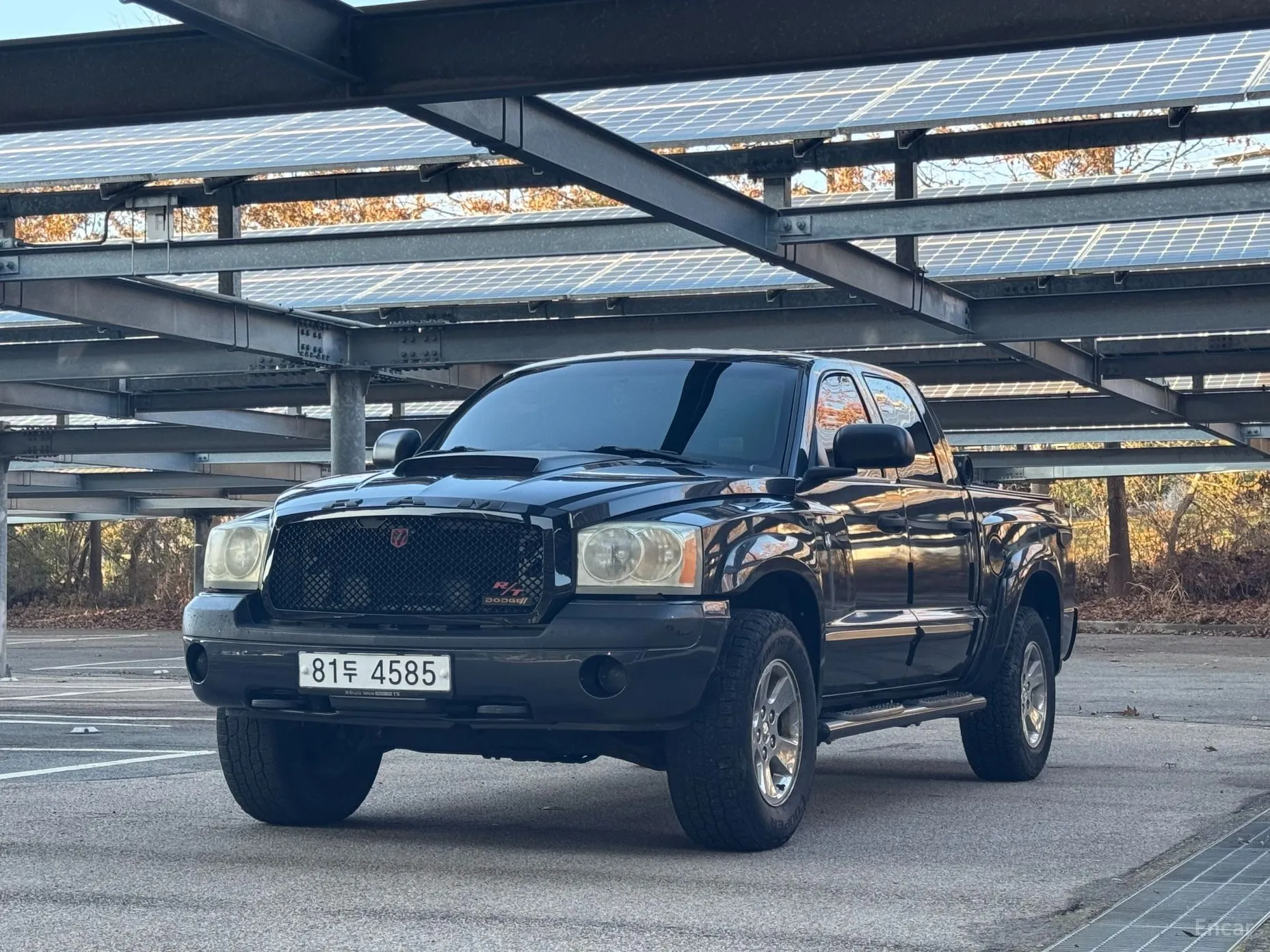 Dodge Dakota