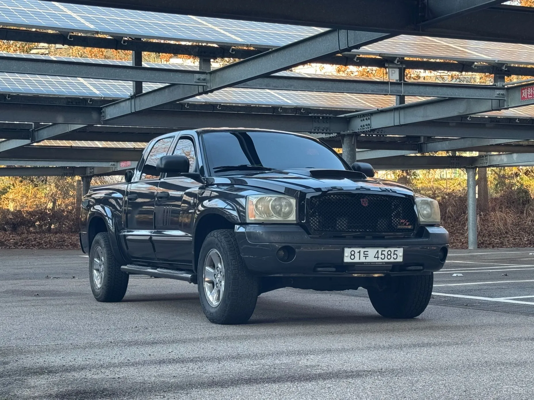 Dodge Dakota превью 3