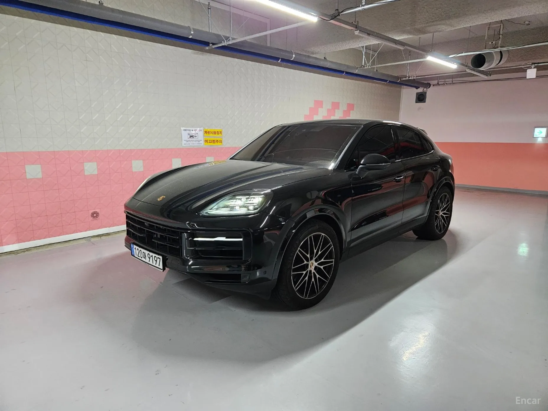Cayenne (PO536)