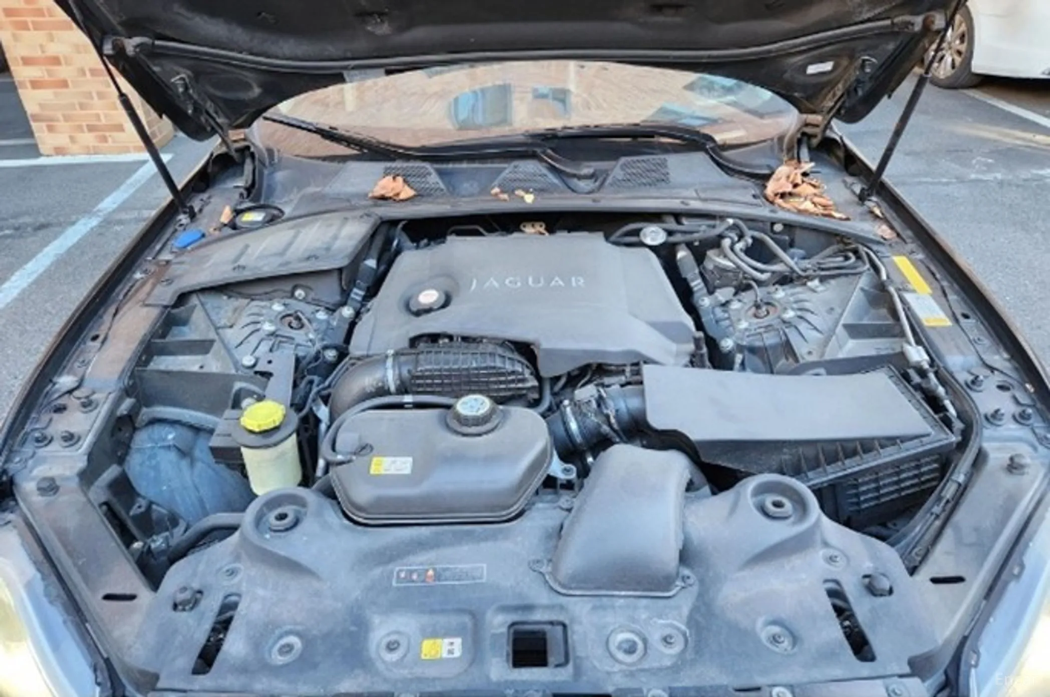 Jaguar All New XJ превью 6