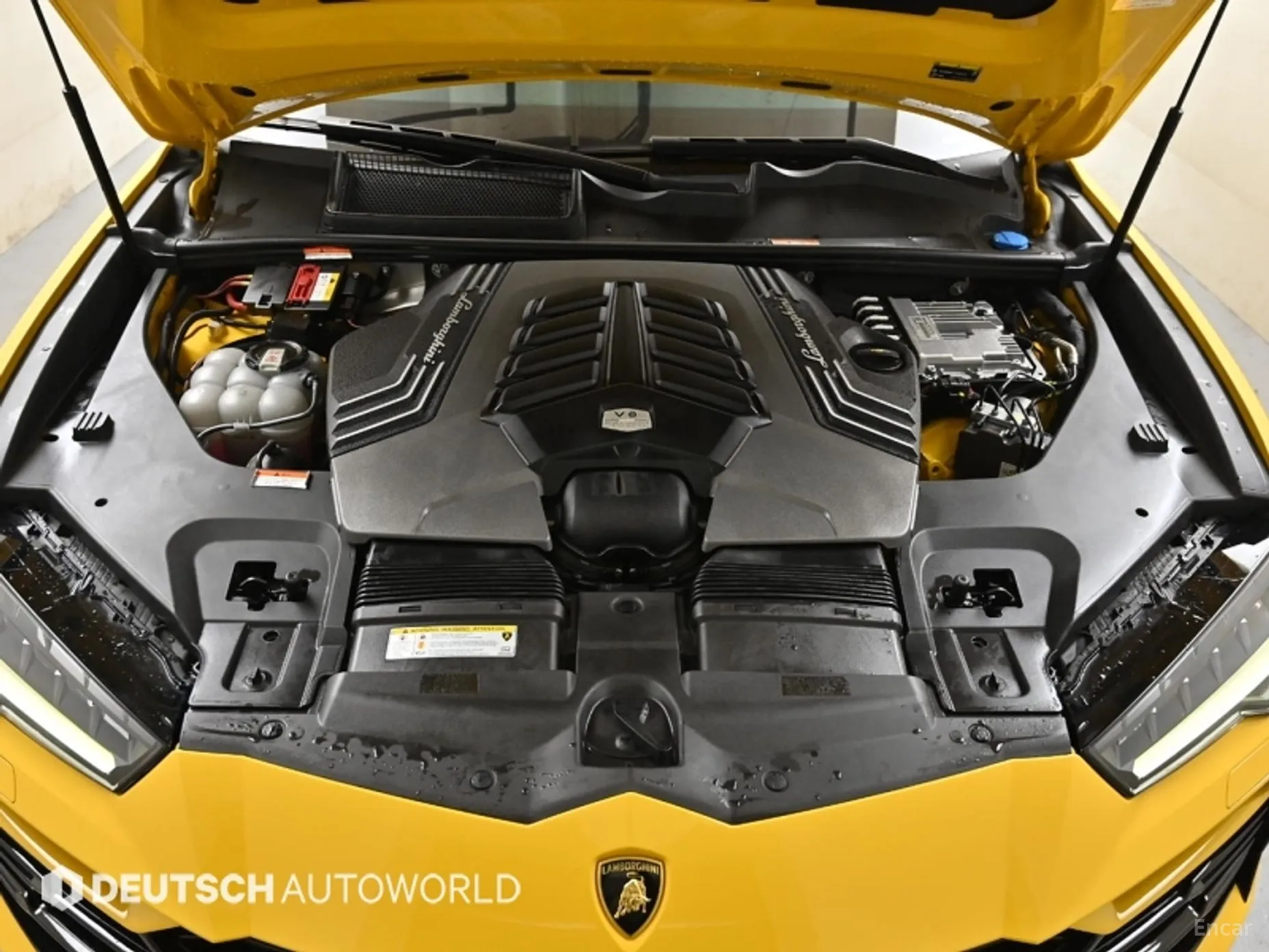 Lamborghini Urus превью 6