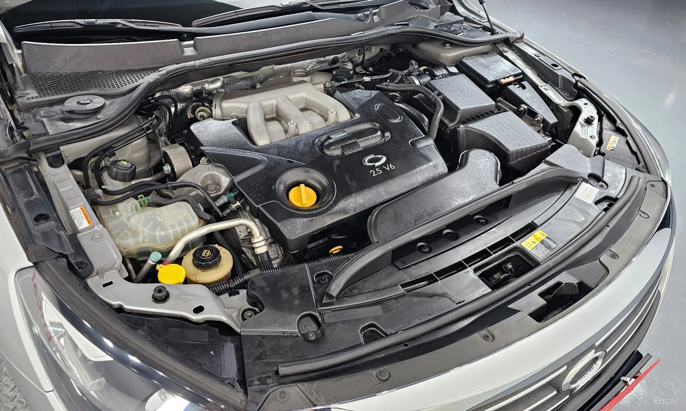 Renault Korea (Samsung) SM7 превью 6