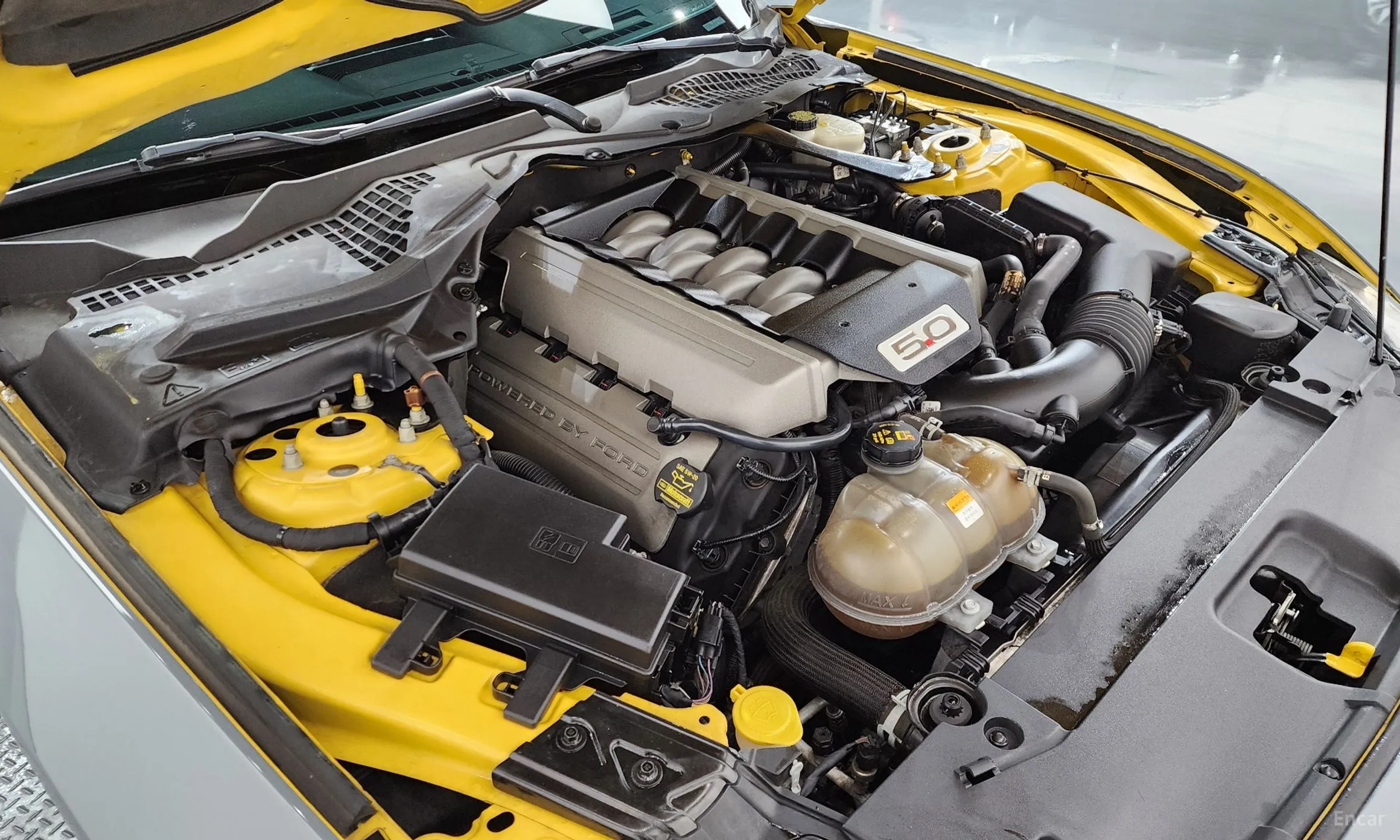 Ford Mustang превью 6