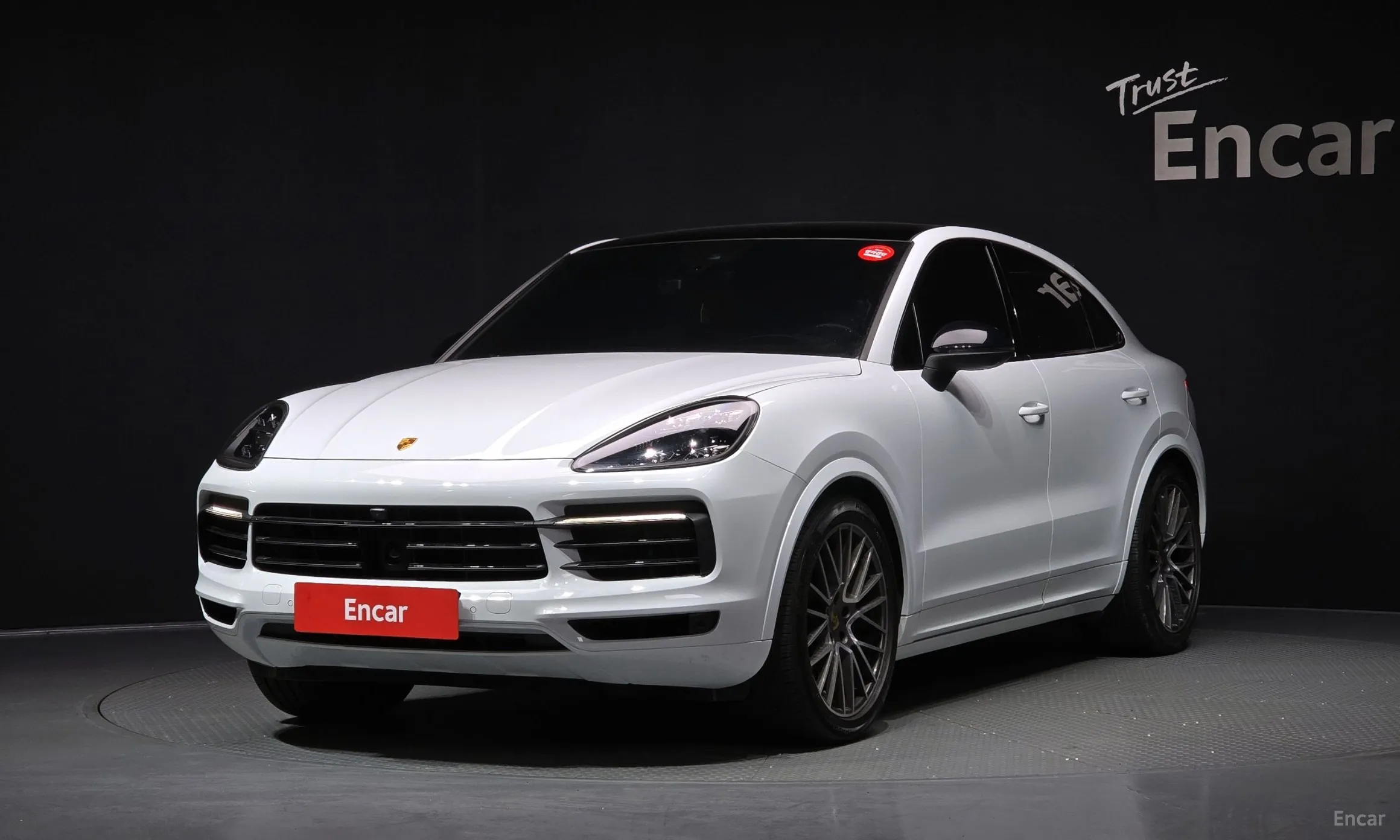 Cayenne (PO536)